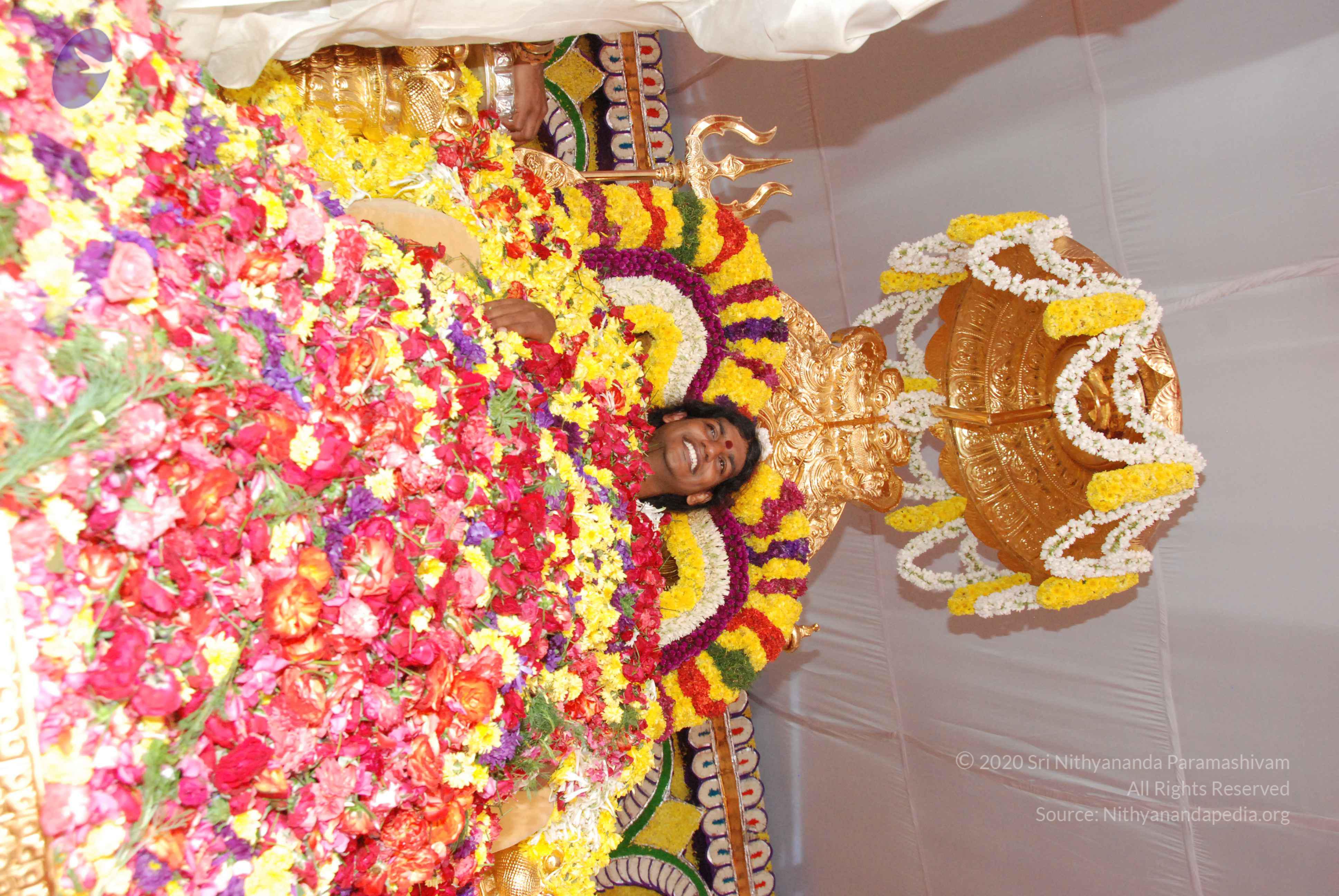 20100101_Photo_1179_DSC_2206_CMP_WM