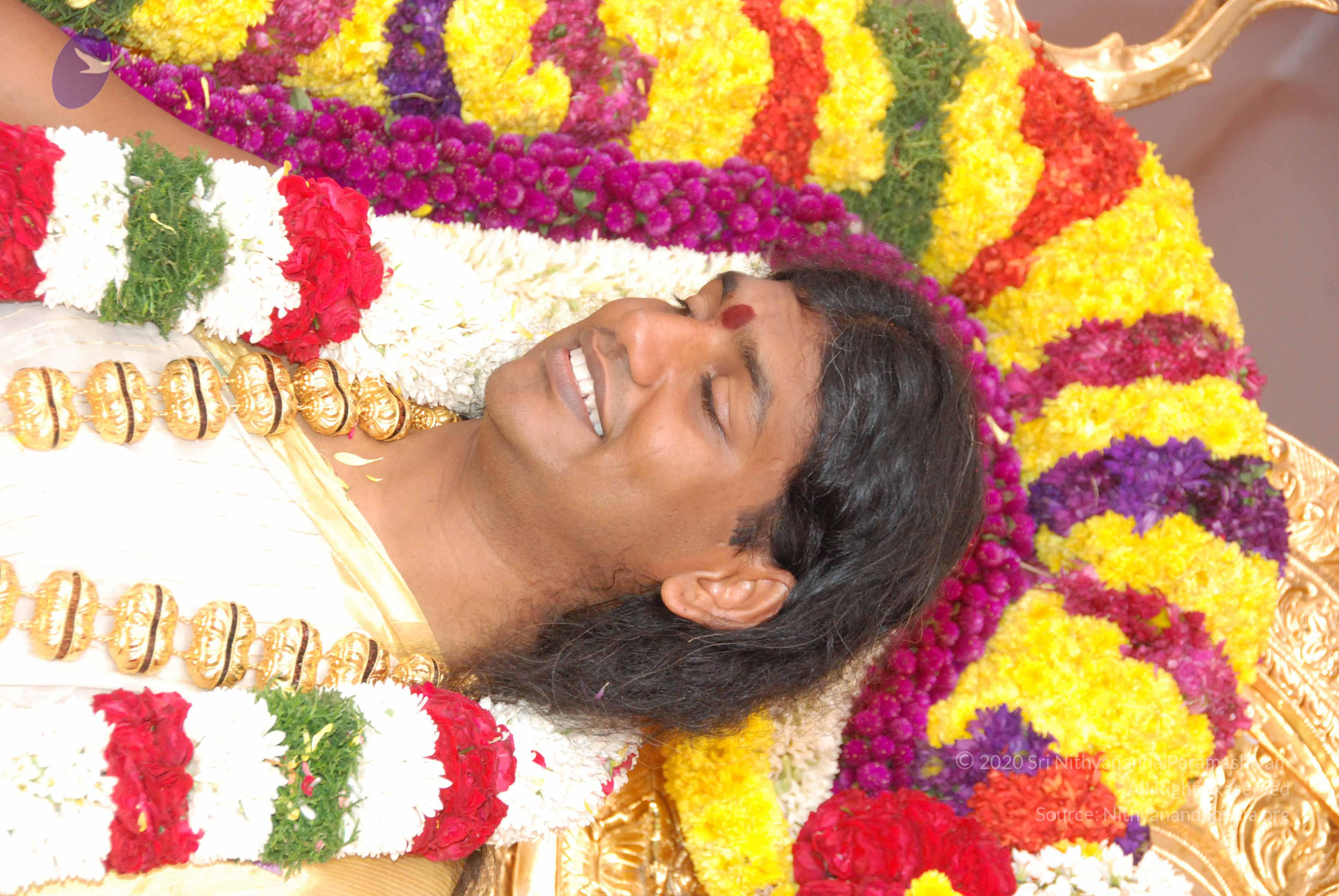 20100101_Photo_1182_DSC_2231_CMP_WM