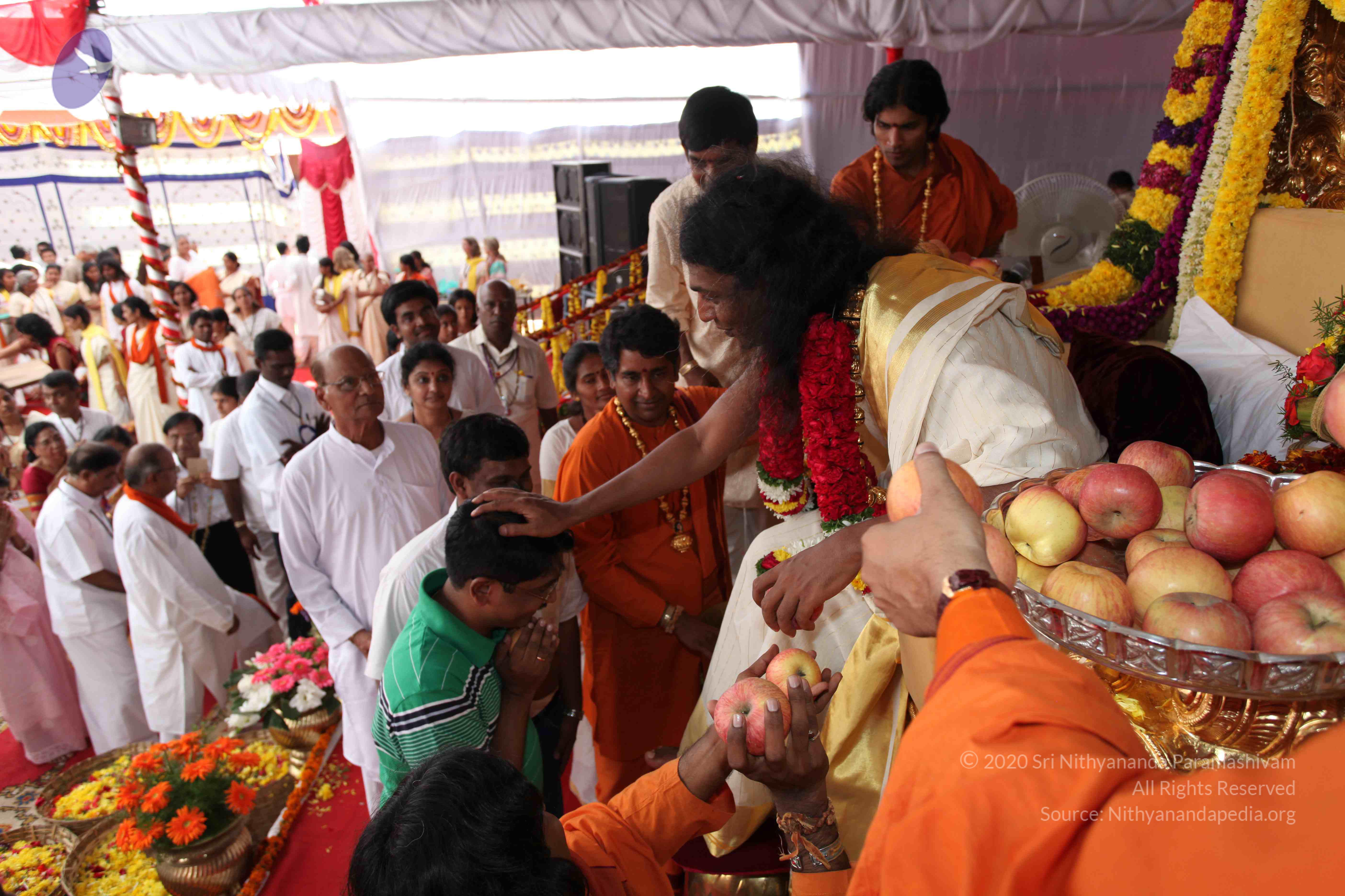 20100101_Photo_1194_IMG_5090_CMP_WM