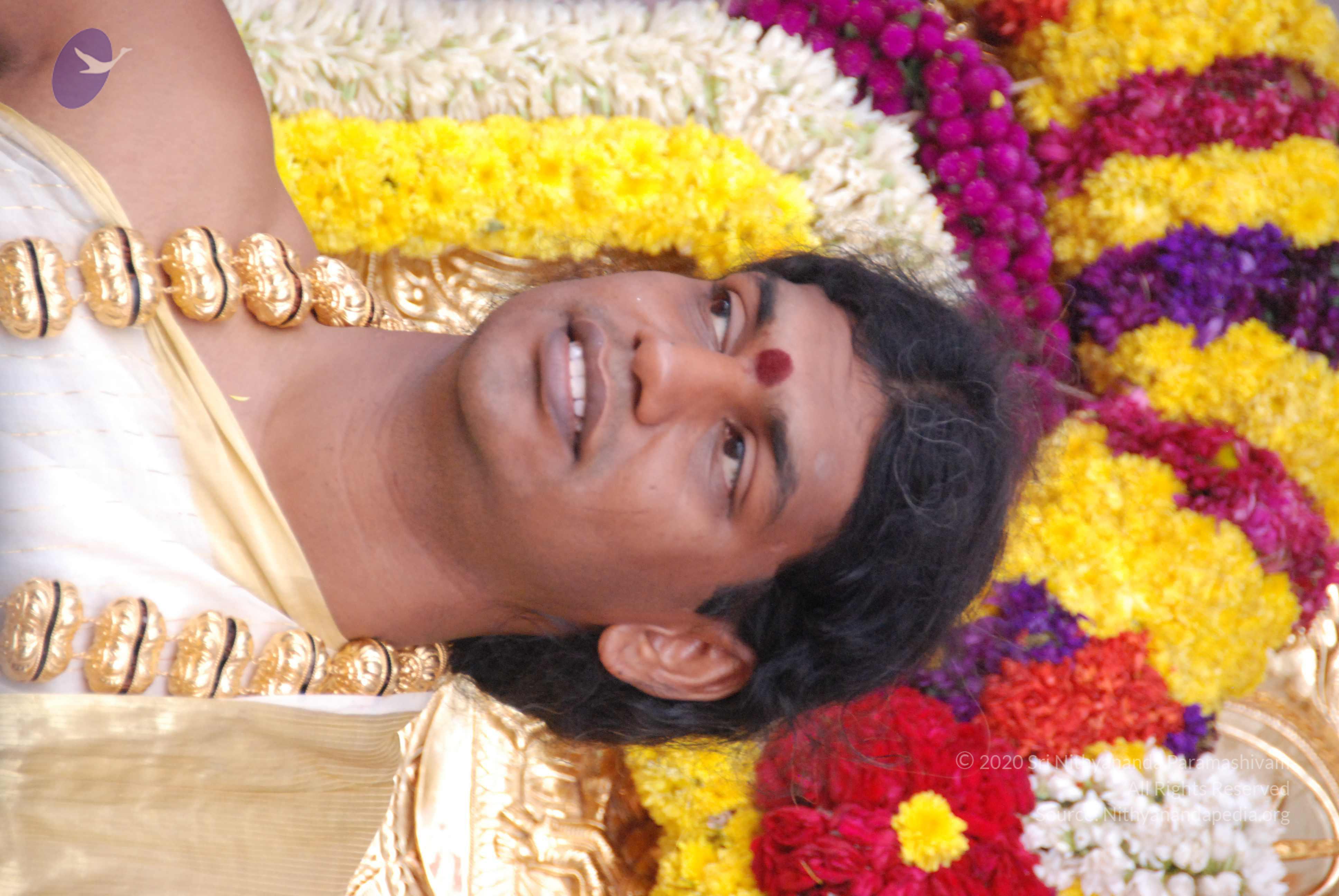 20100101_Photo_1197_DSC_2334_CMP_WM