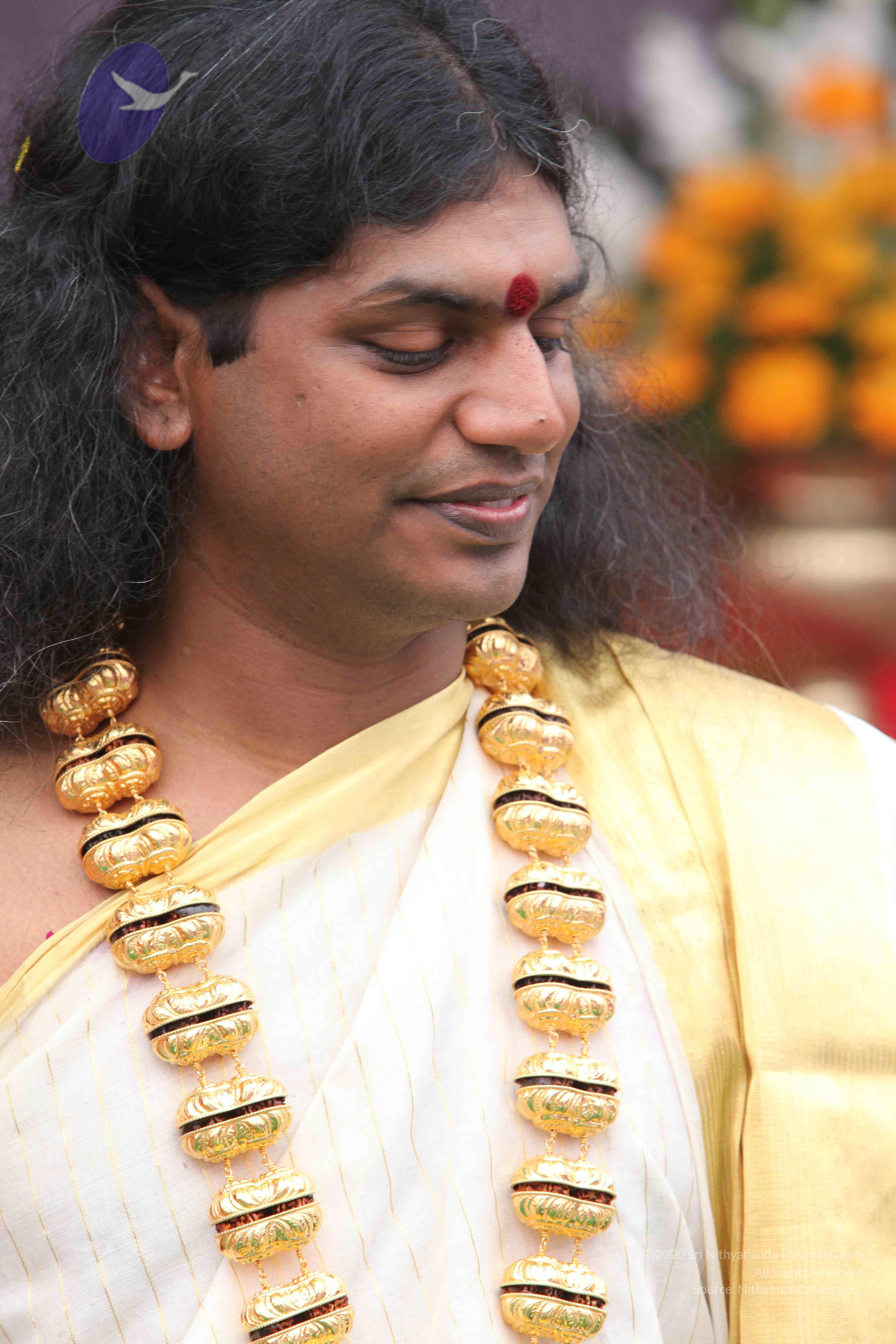 20100101_Photo_1201_IMG_4770_CMP_WM