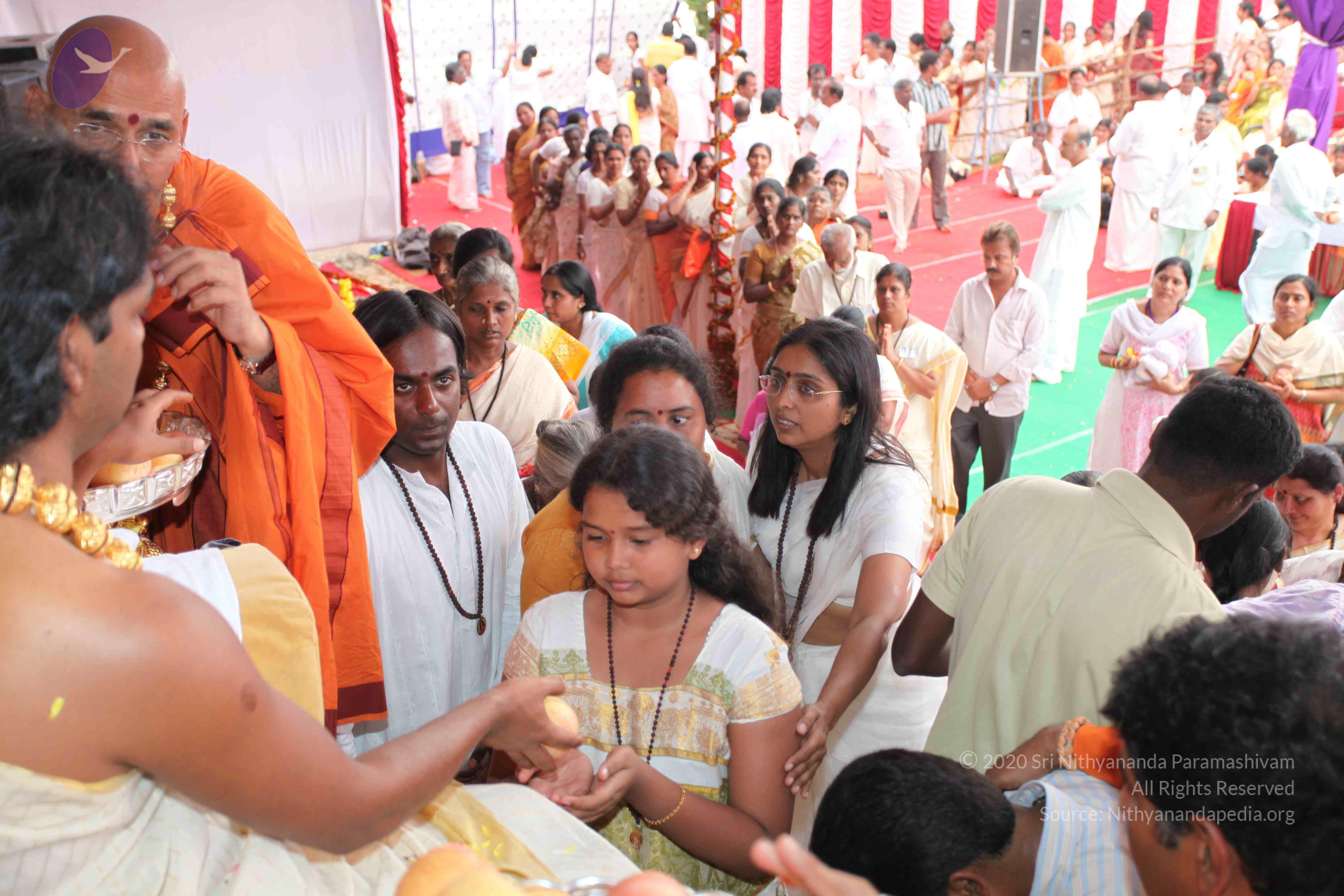 20100101_Photo_1204_IMG_5167_CMP_WM