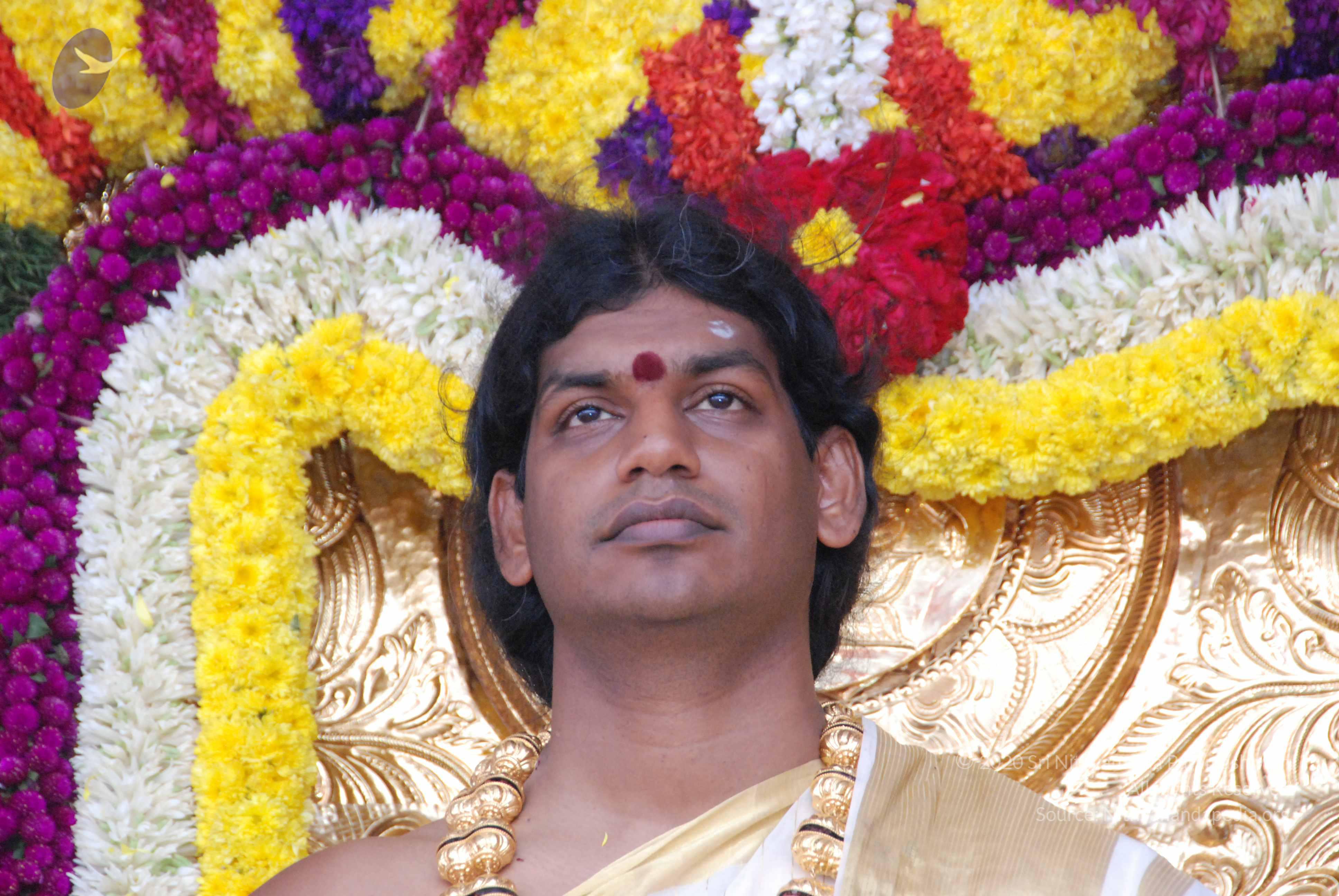 20100101_Photo_1209_DSC_2296_CMP_WM