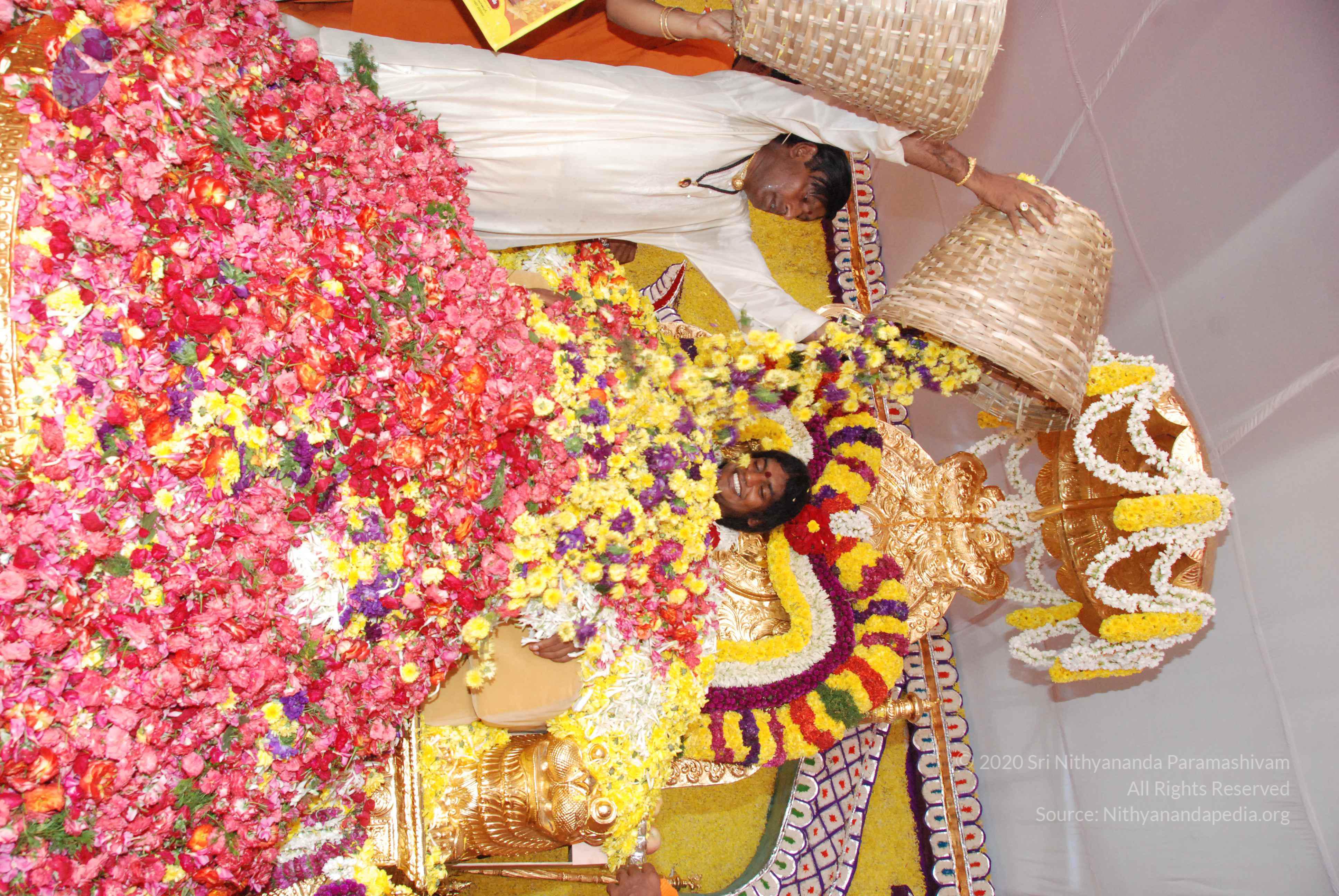 20100101_Photo_1217_DSC_2193_CMP_WM