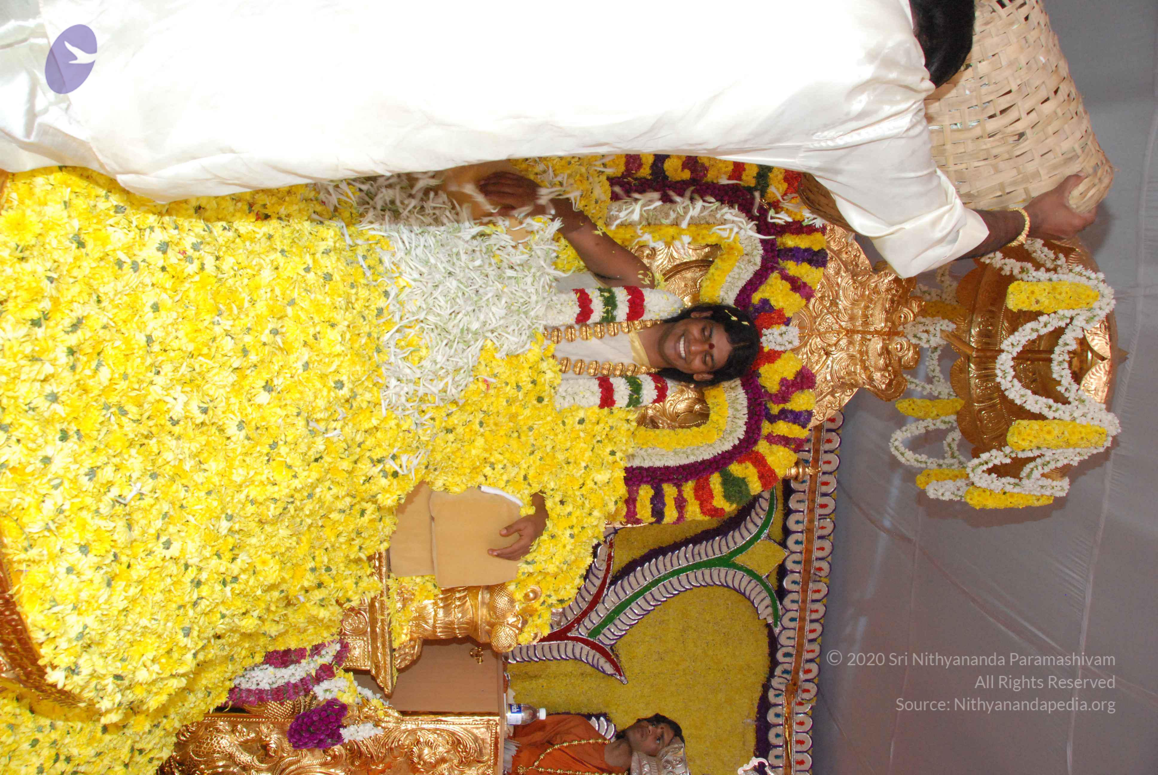 20100101_Photo_1241_DSC_2161_CMP_WM