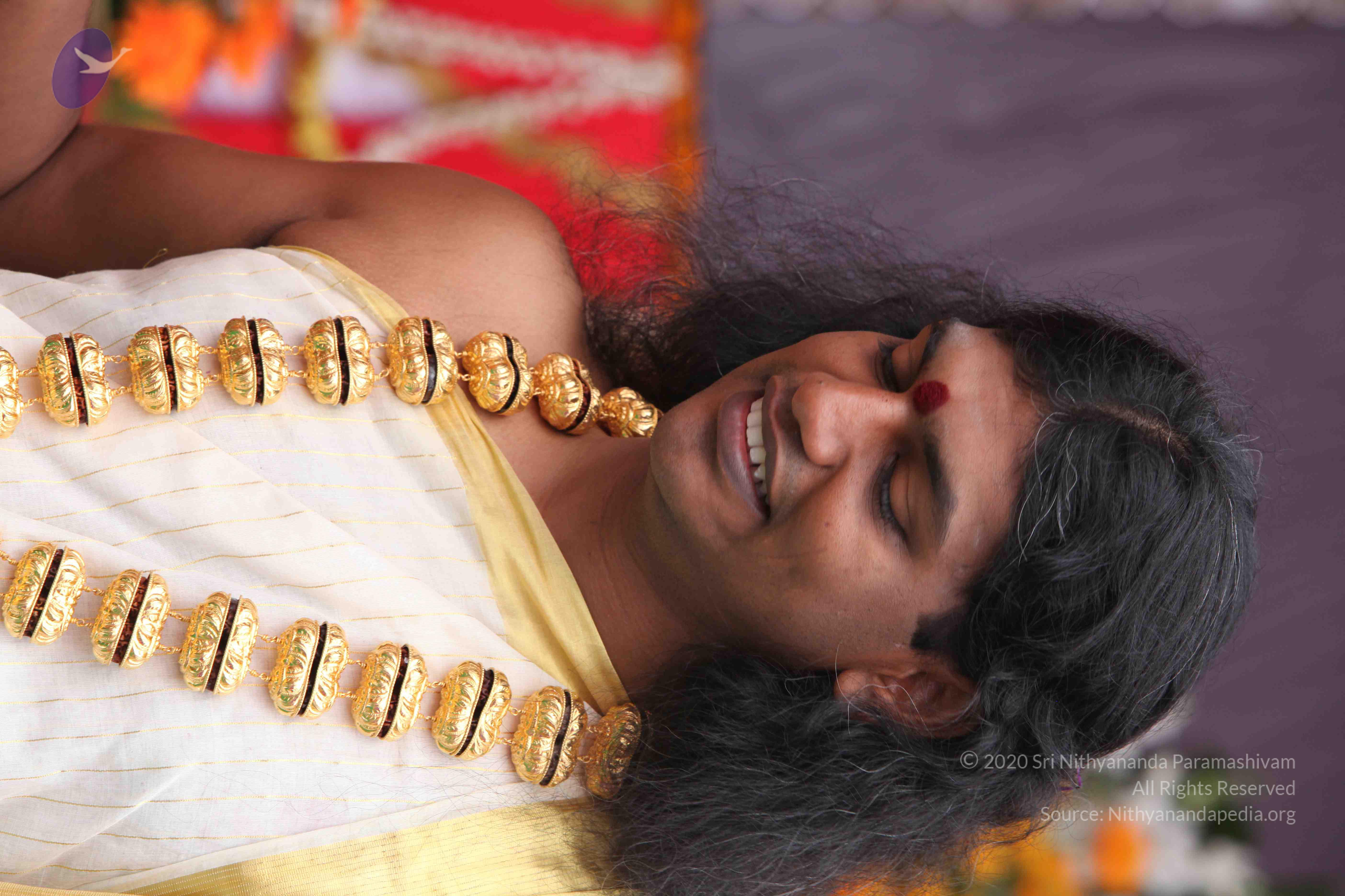 20100101_Photo_1244_IMG_4773_CMP_WM