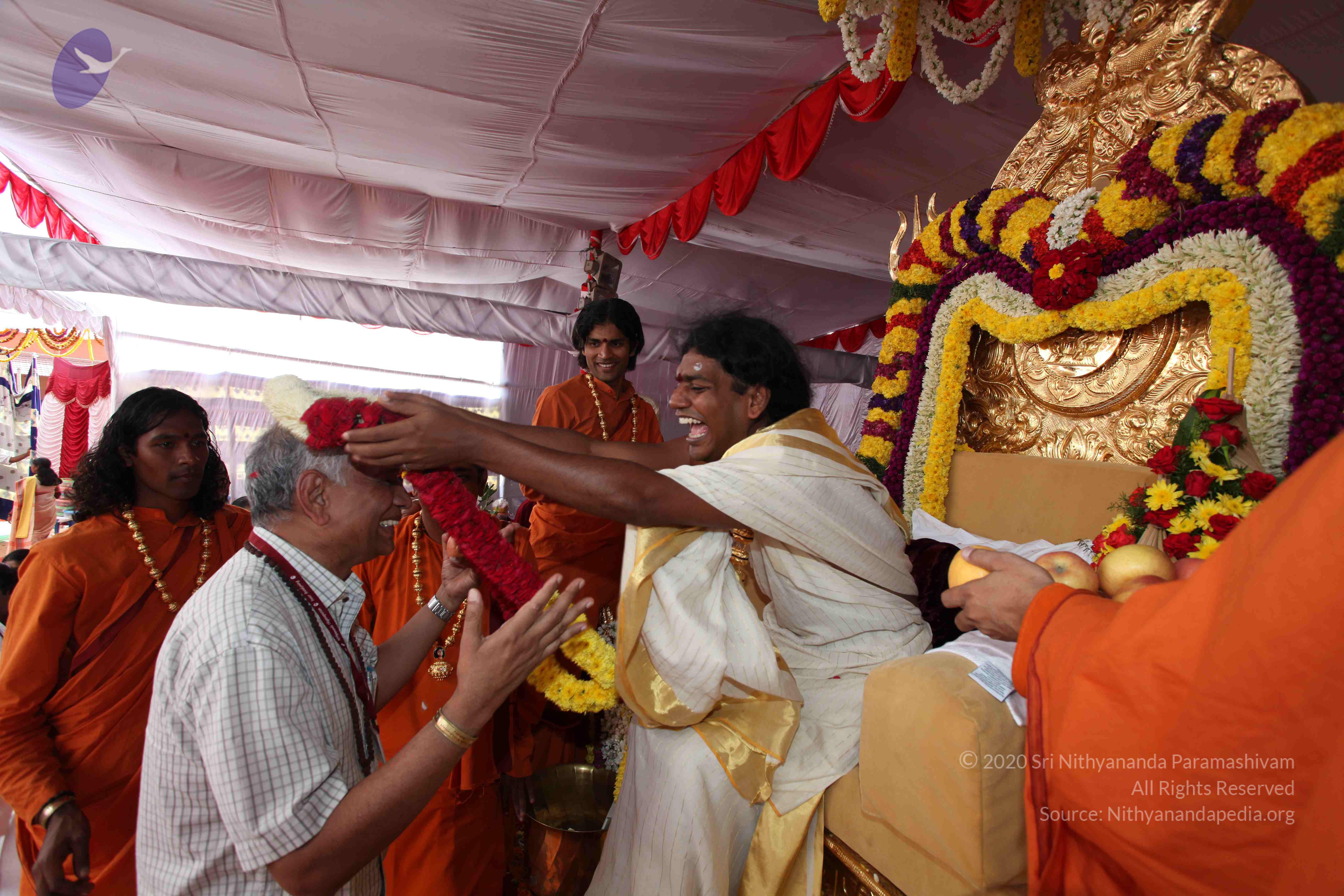 20100101_Photo_1246_IMG_5153_CMP_WM