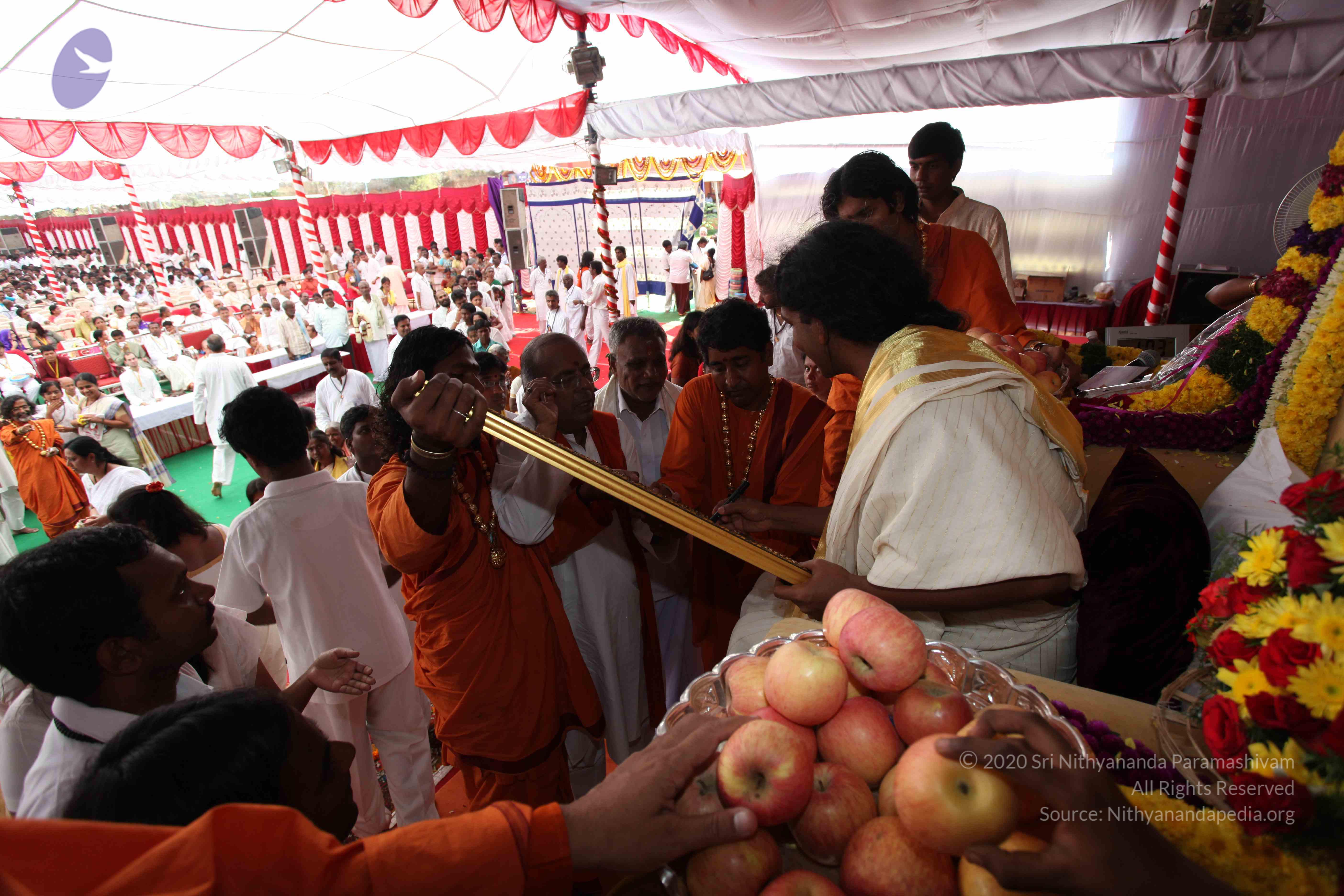 20100101_Photo_1247_IMG_5164_CMP_WM