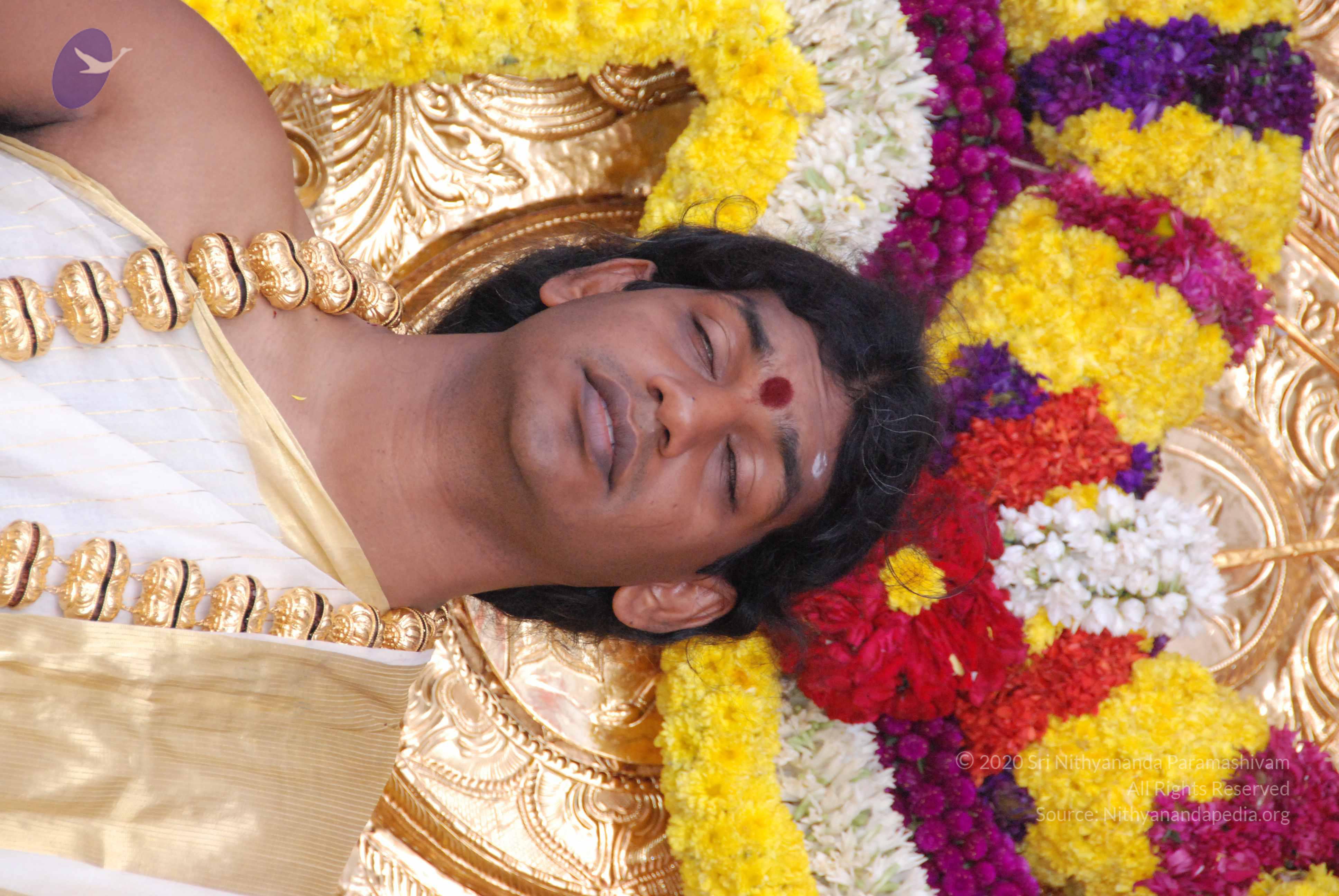 20100101_Photo_1250_DSC_2295_CMP_WM