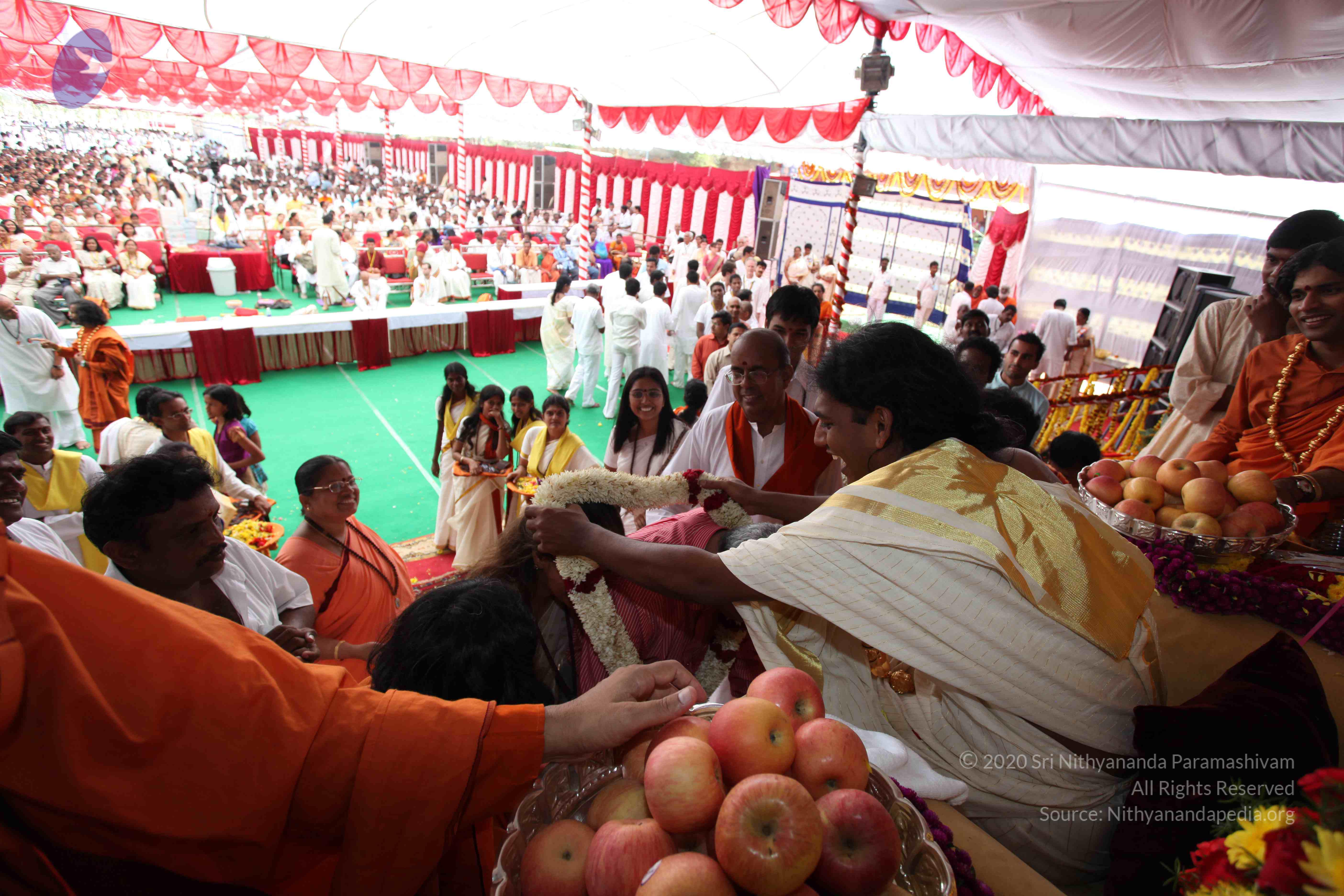 20100101_Photo_1252_IMG_5131_CMP_WM