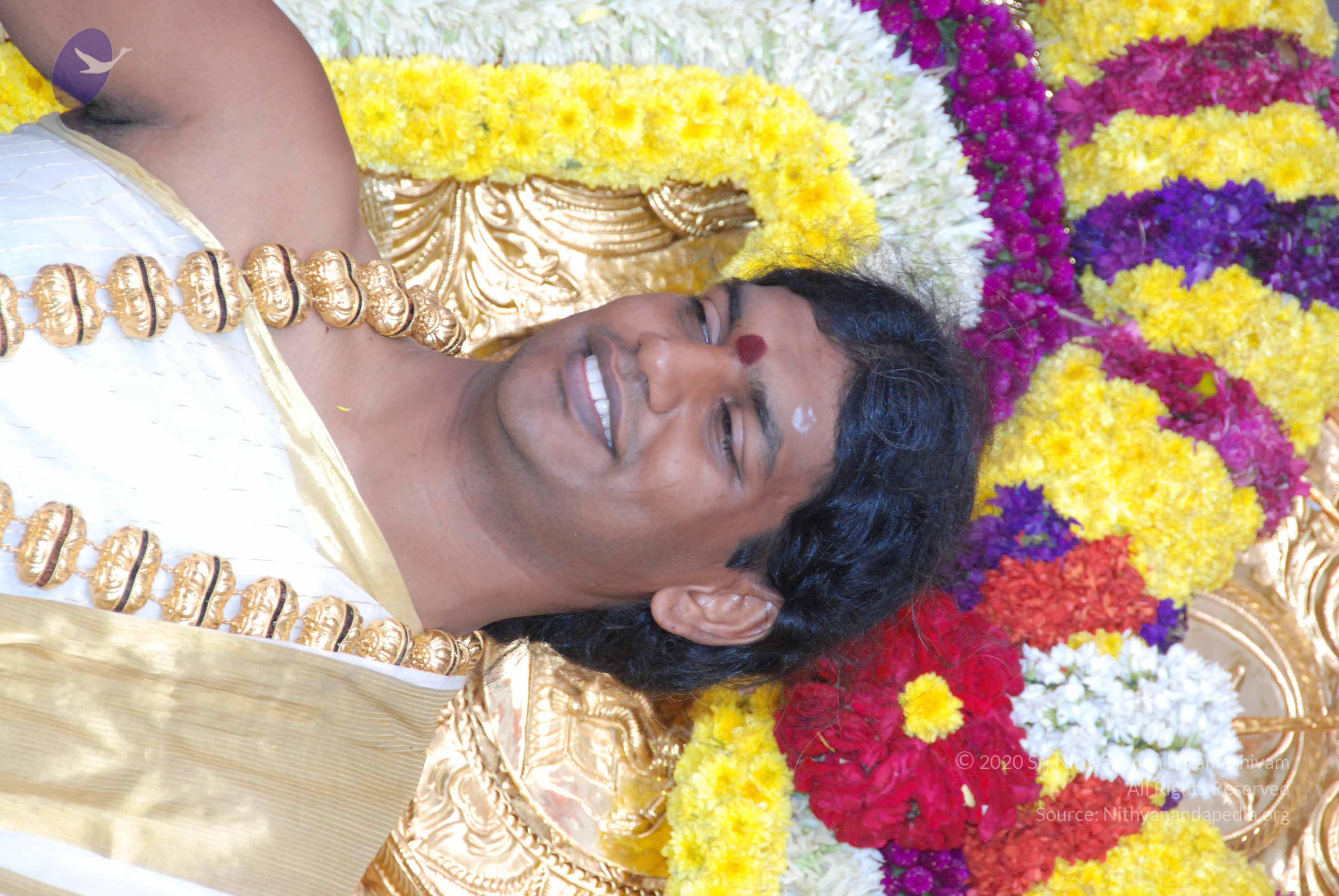 20100101_Photo_1259_DSC_2300_CMP_WM