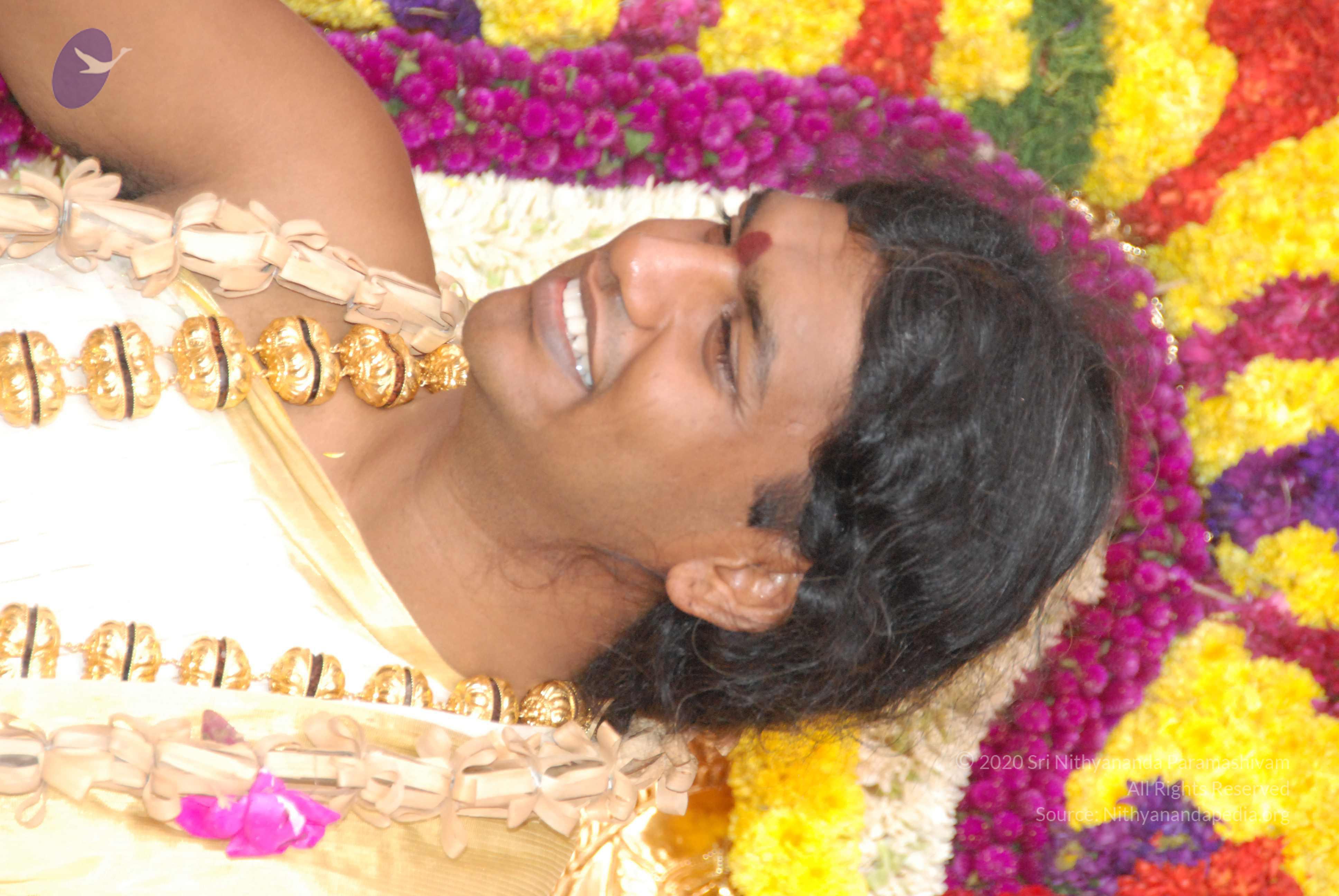 20100101_Photo_1260_DSC_2337_CMP_WM