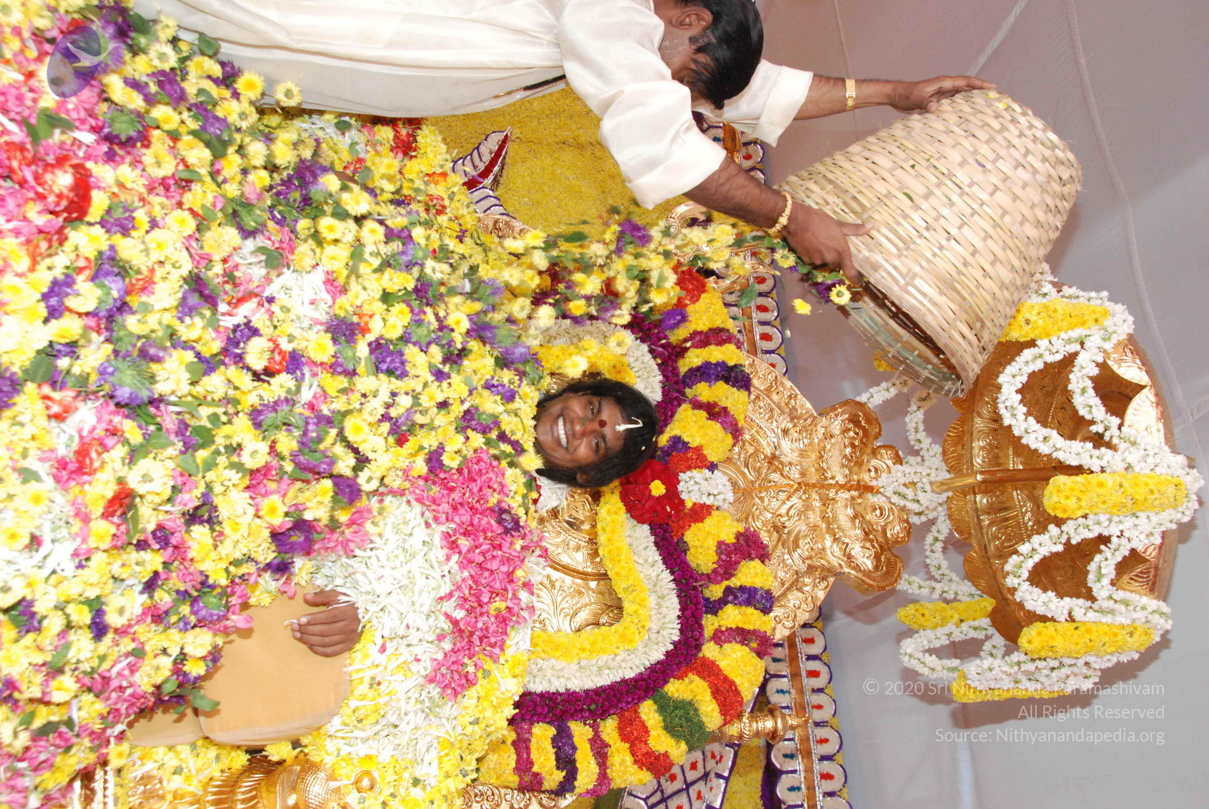 20100101_Photo_1262_DSC_2182_CMP_WM