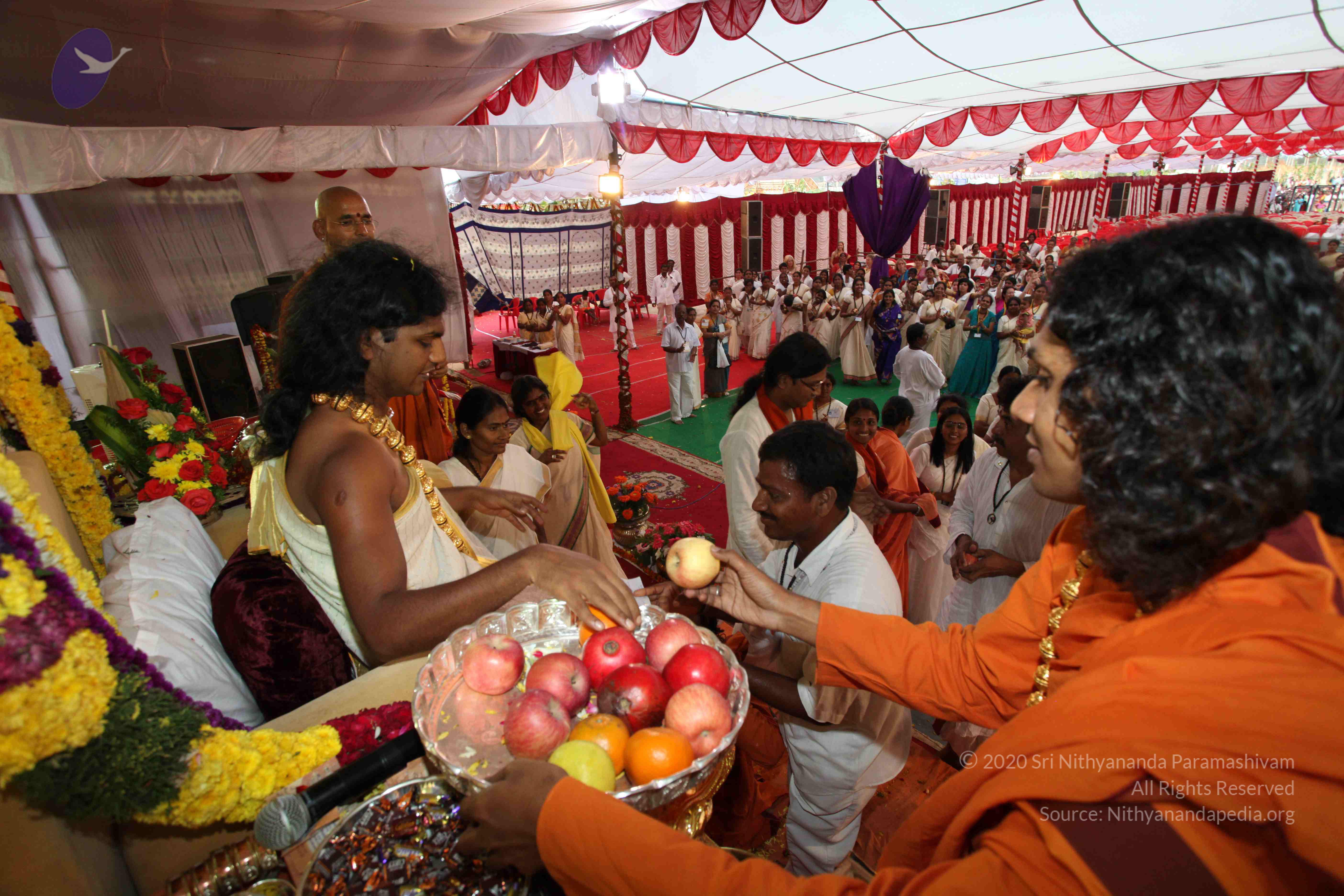 20100101_Photo_1266_IMG_5244_CMP_WM