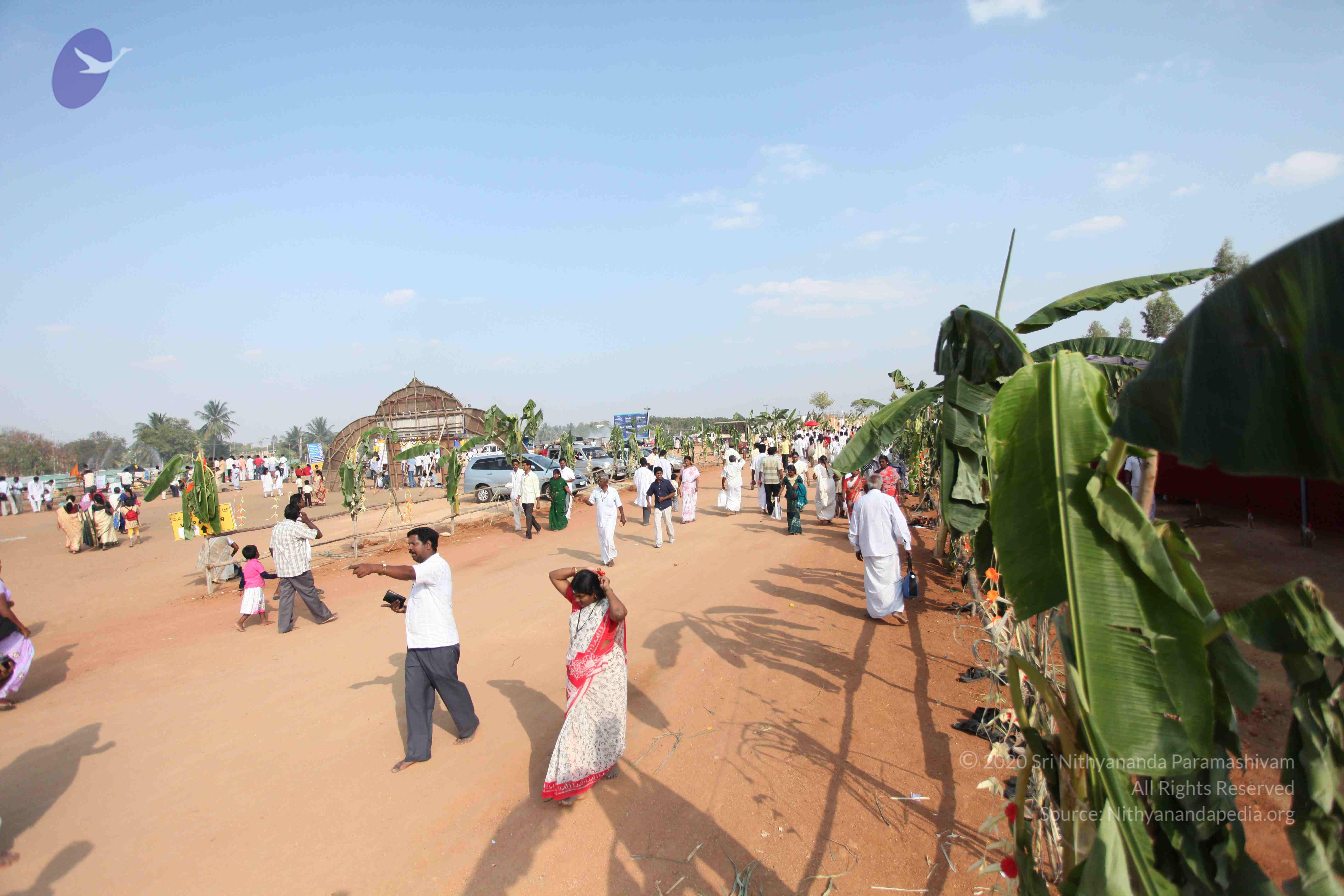 20100101_Photo_1270_IMG_5208_CMP_WM