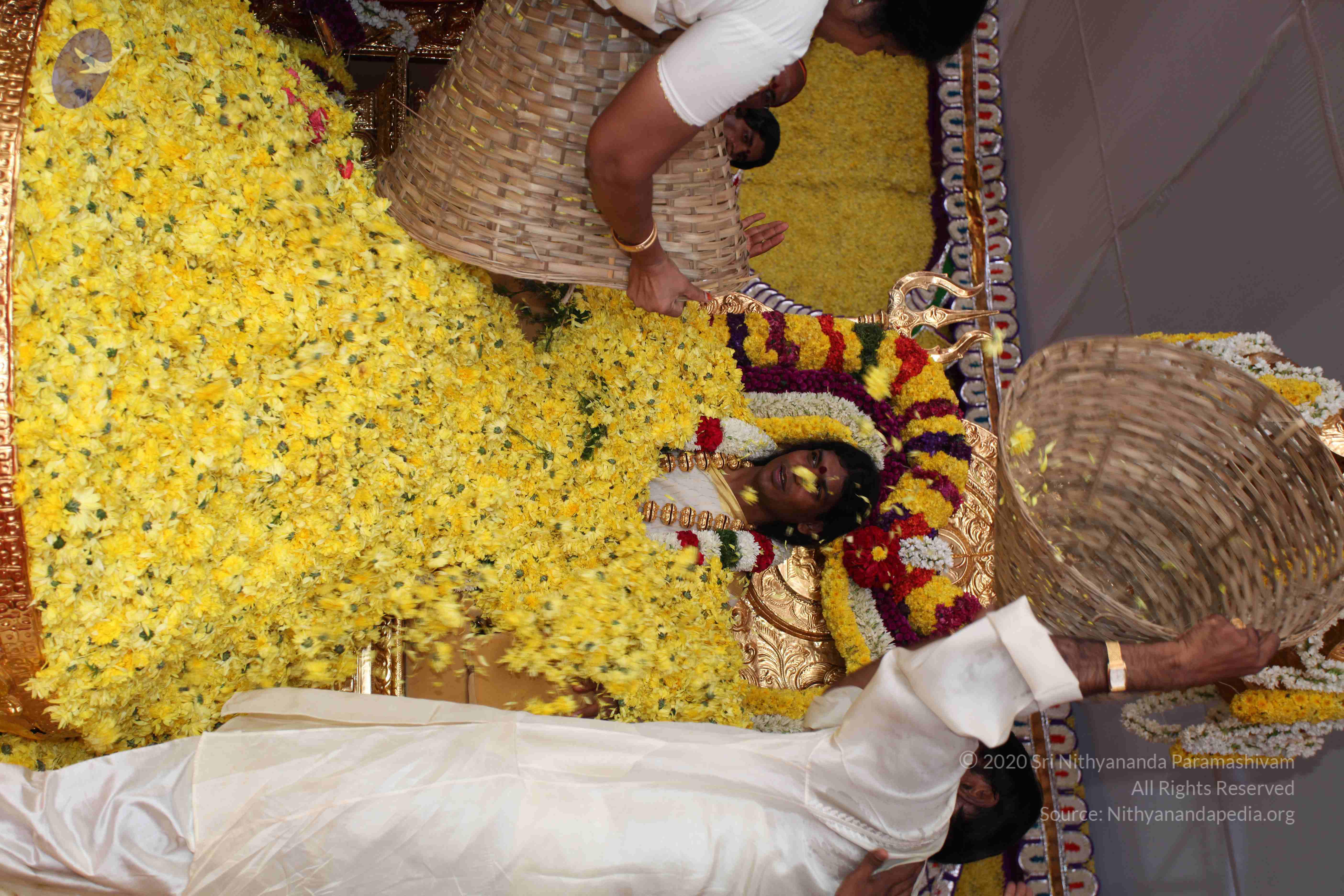 20100101_Photo_1281_IMG_4999_CMP_WM