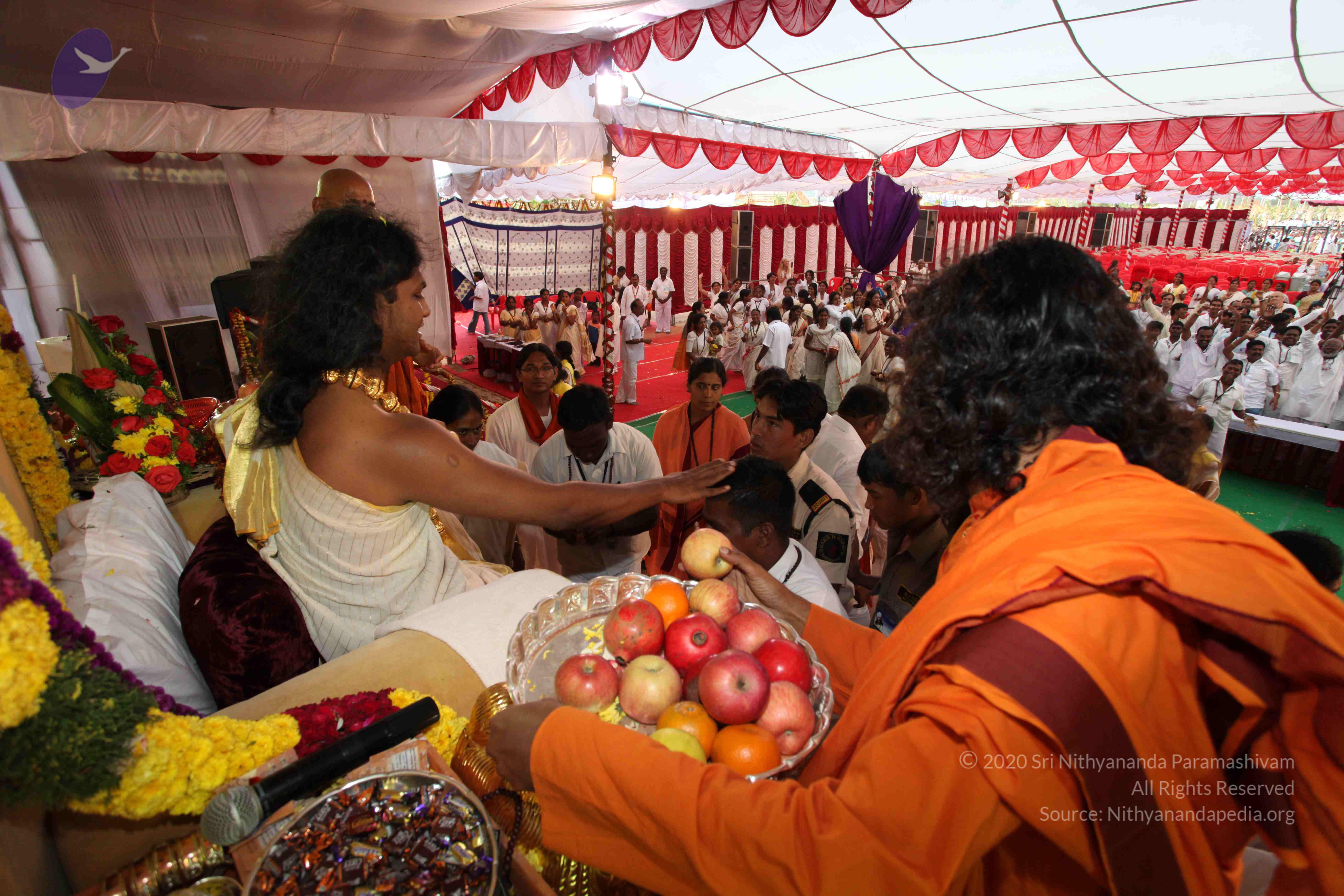 20100101_Photo_1284_IMG_5241_CMP_WM