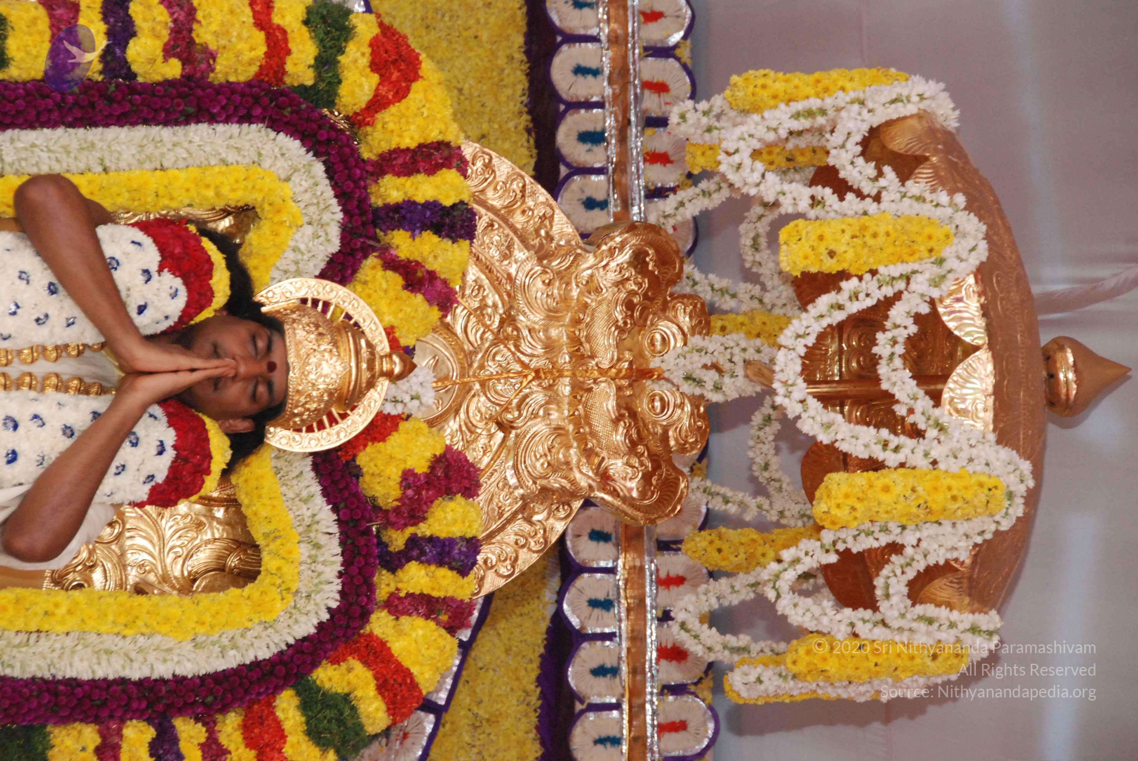 20100101_Photo_1286_DSC_1952_CMP_WM