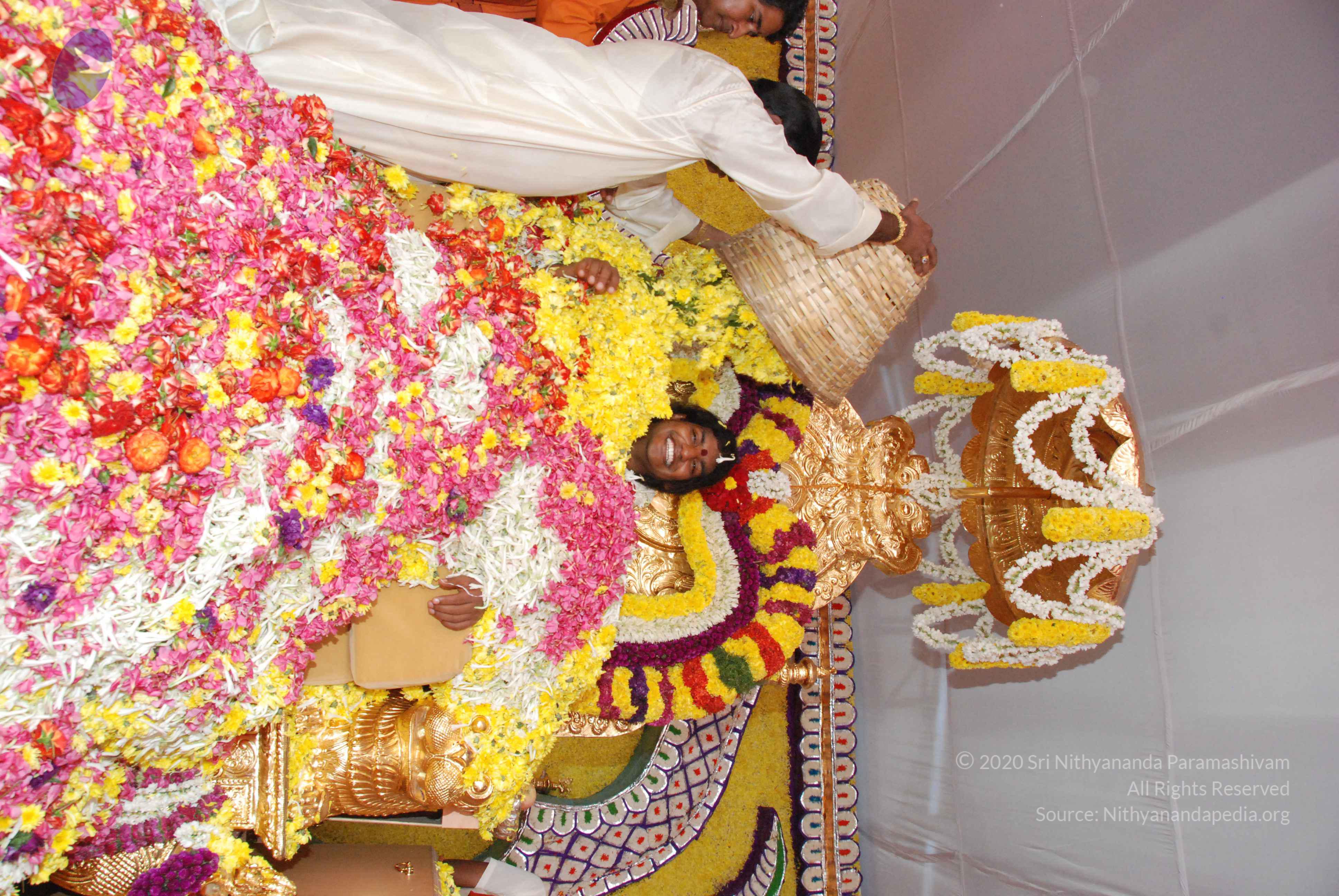 20100101_Photo_1289_DSC_2178_CMP_WM