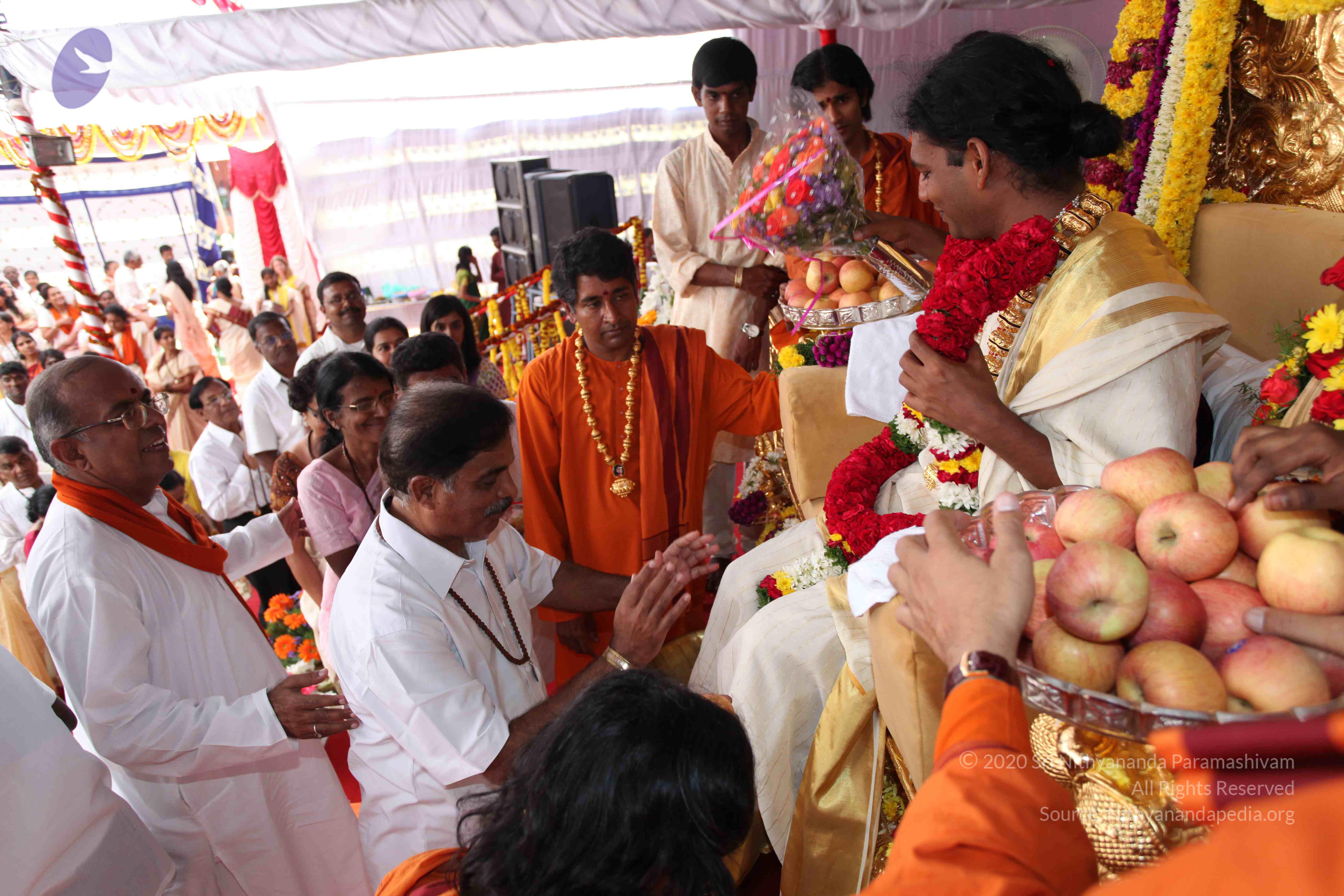 20100101_Photo_1291_IMG_5096_CMP_WM