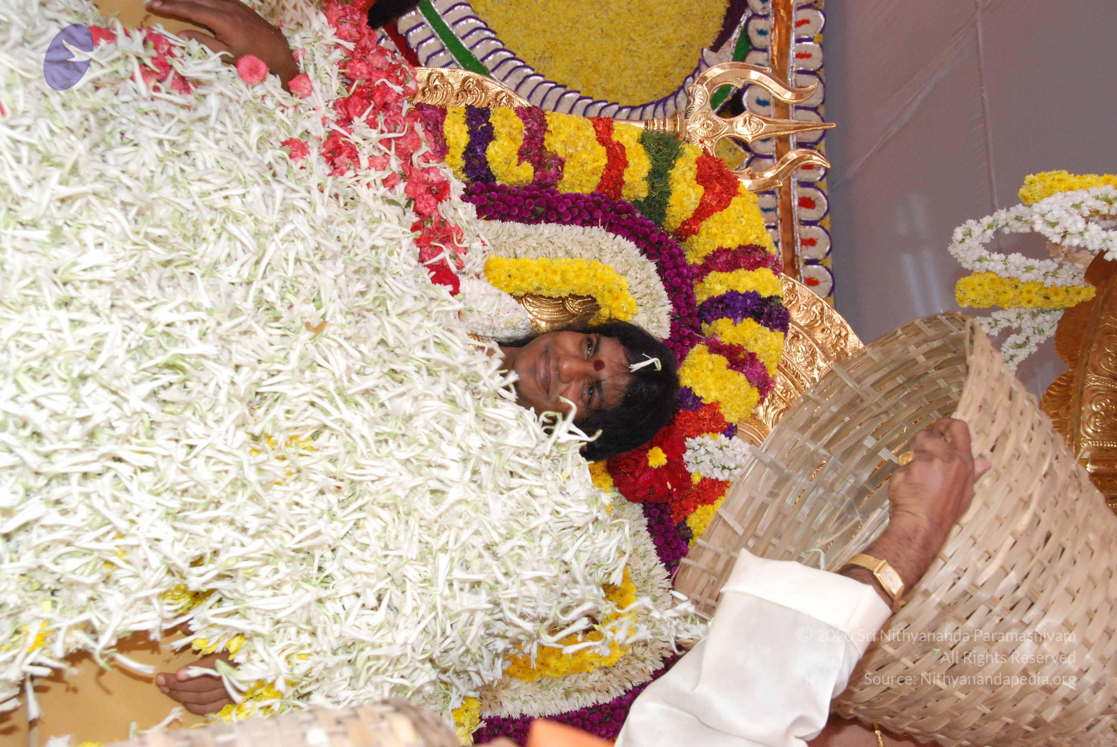 20100101_Photo_1296_DSC_2169_CMP_WM