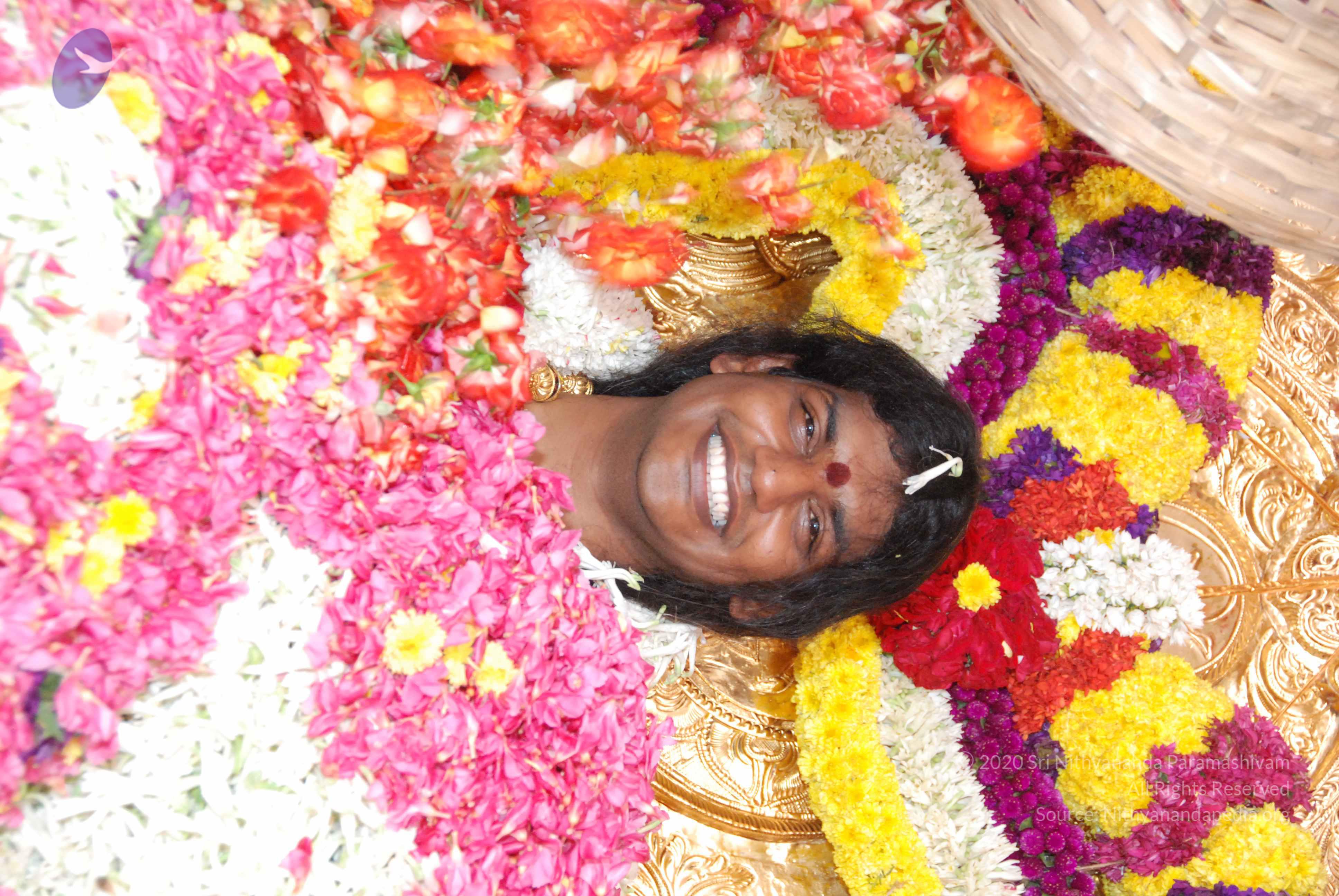 20100101_Photo_1307_DSC_2175_CMP_WM