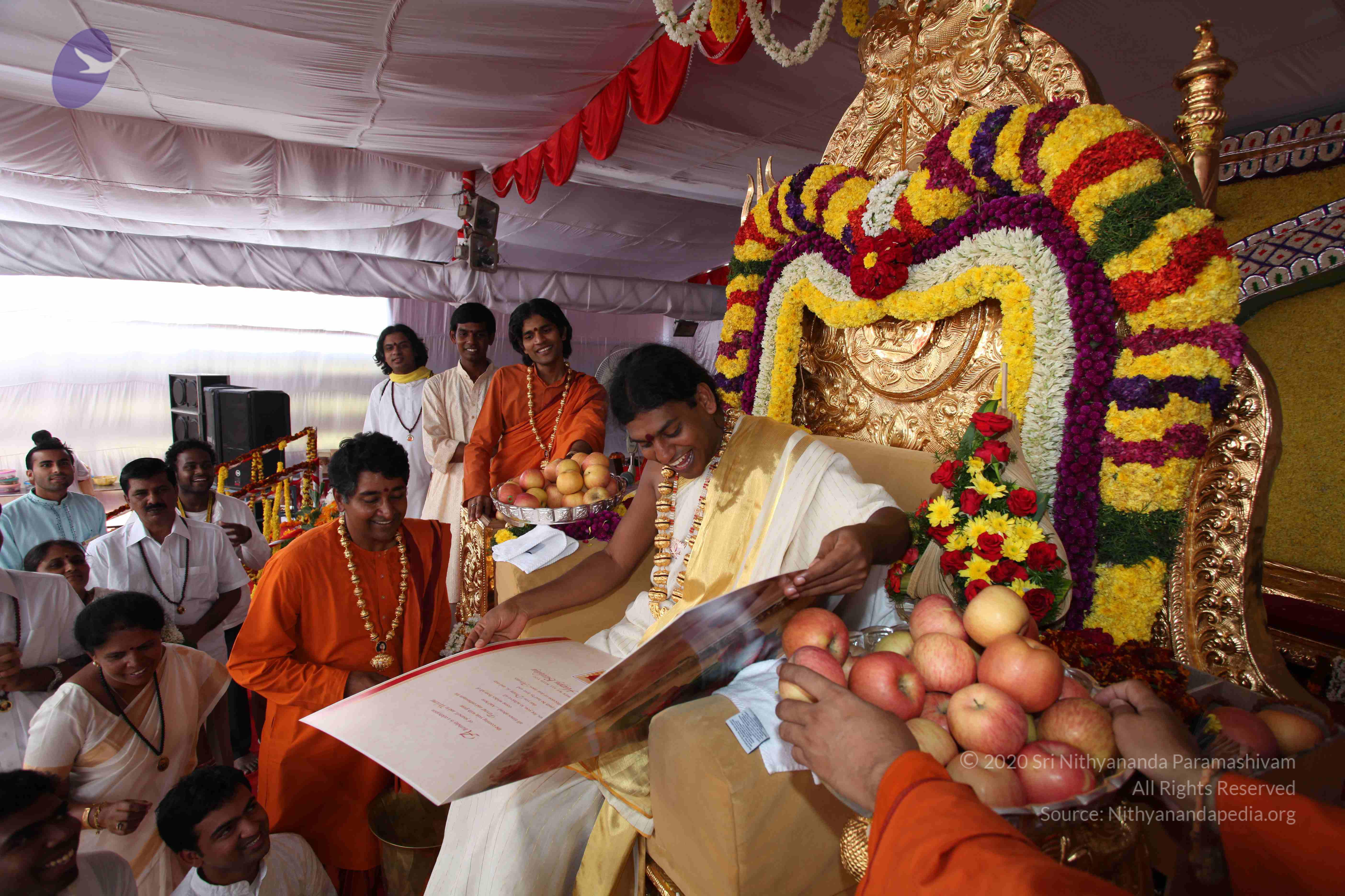 20100101_Photo_1312_IMG_5125_CMP_WM