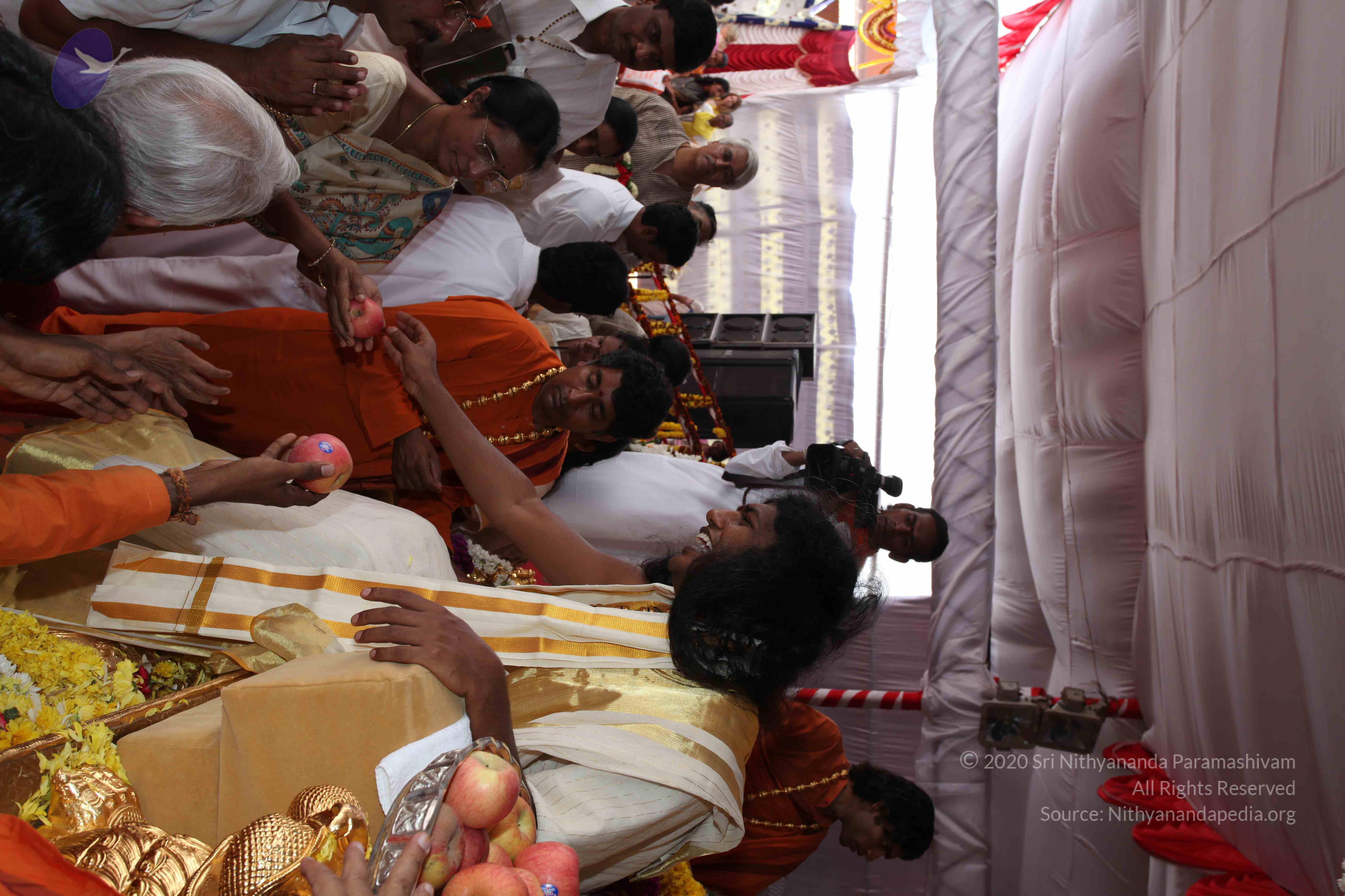 20100101_Photo_1316_IMG_5064_CMP_WM