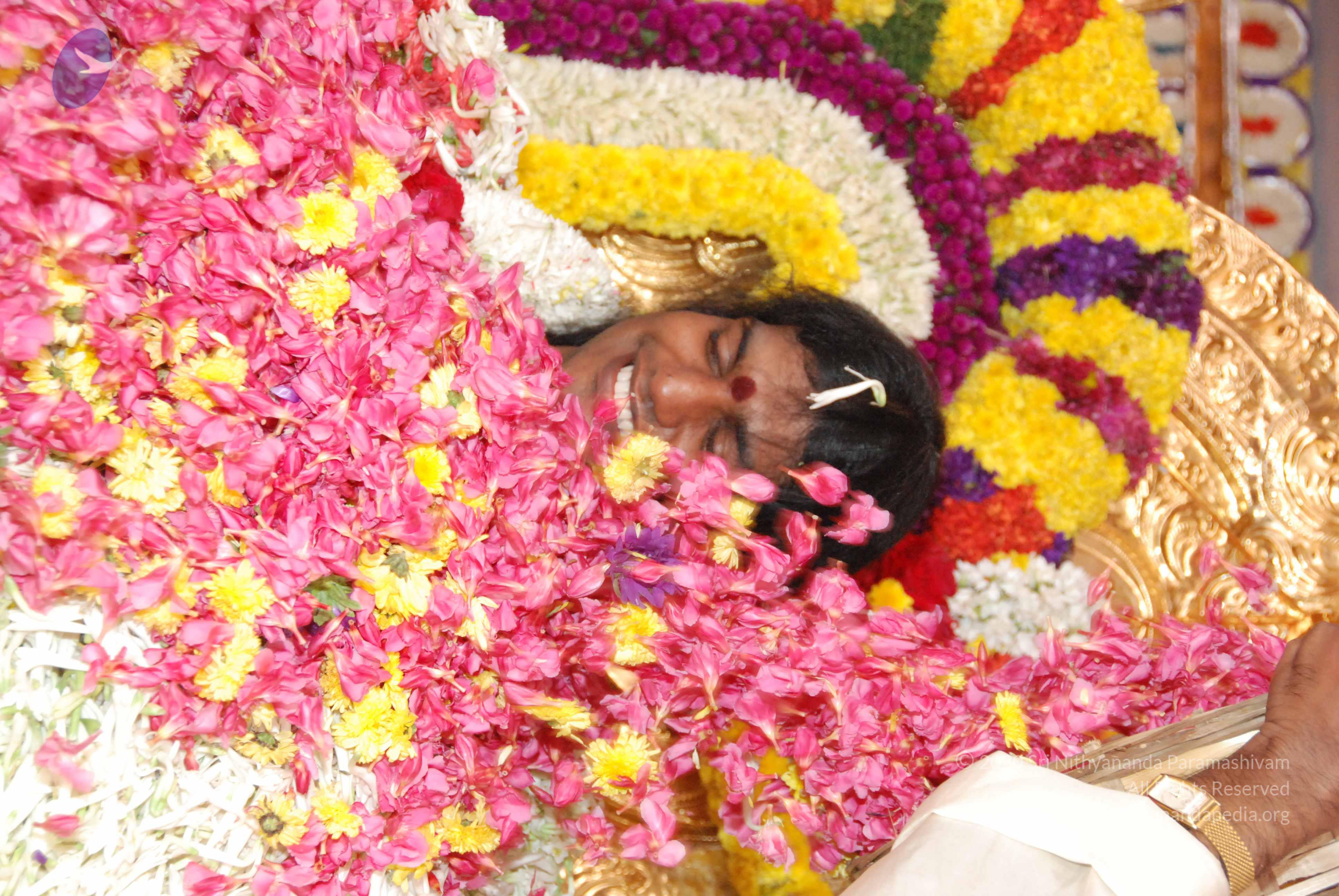 20100101_Photo_1331_DSC_2172_CMP_WM