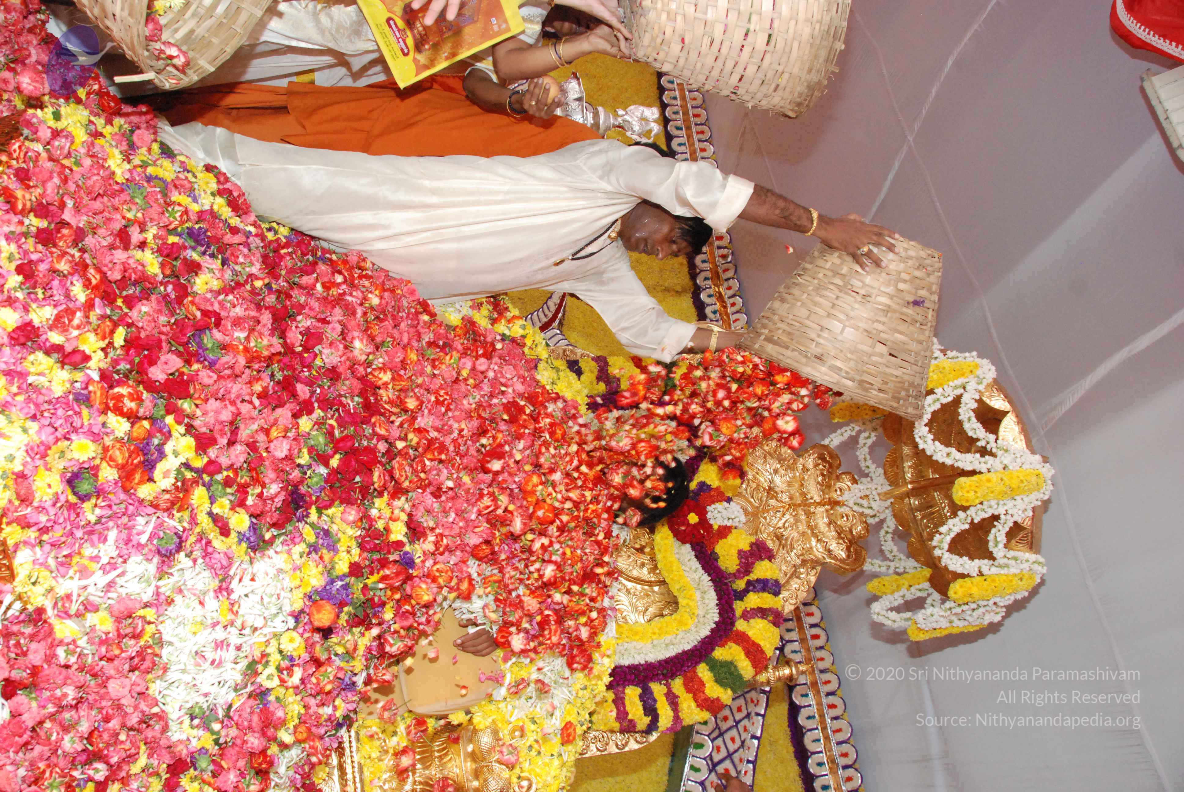 20100101_Photo_1334_DSC_2191_CMP_WM