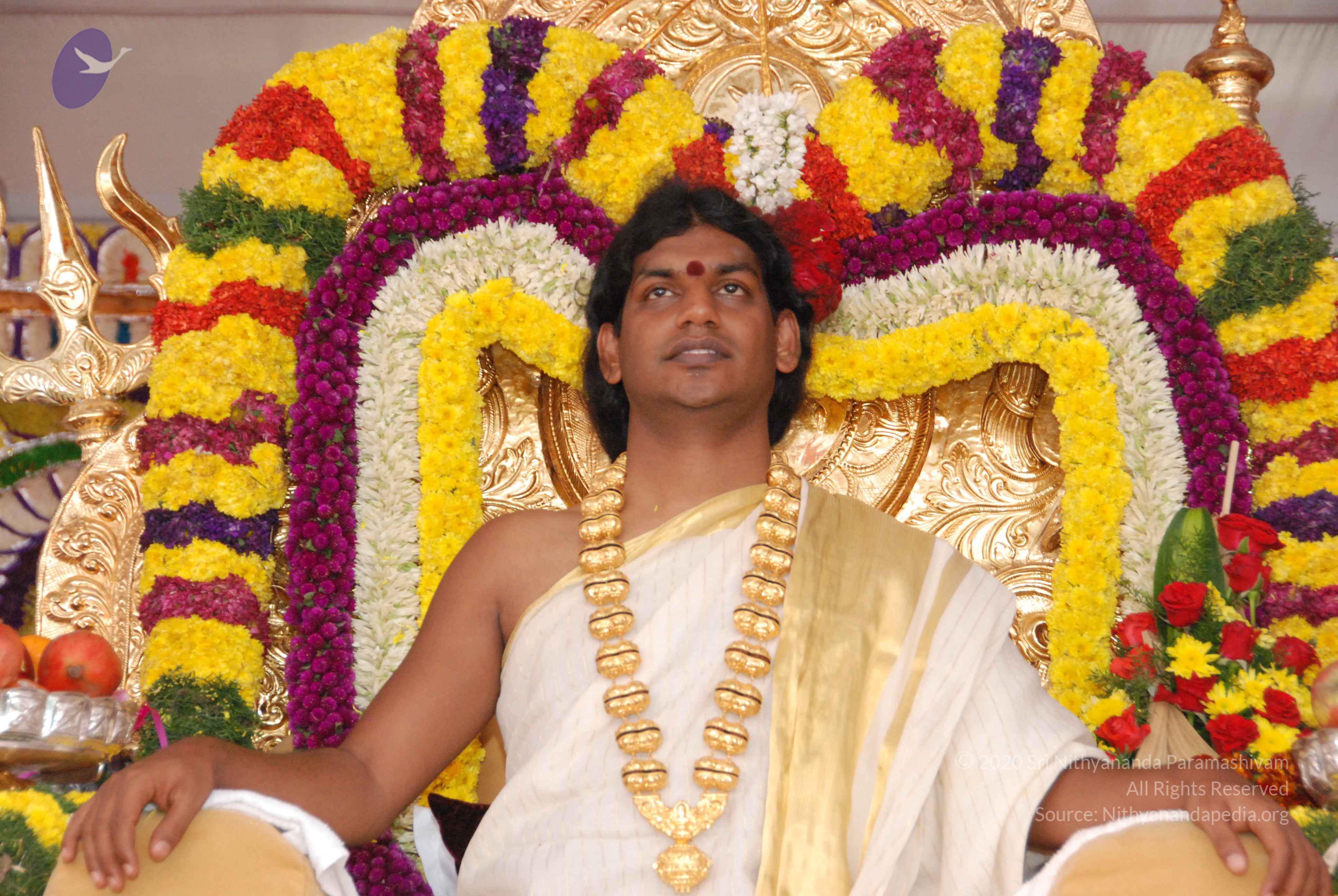 20100101_Photo_1346_DSC_2357_CMP_WM