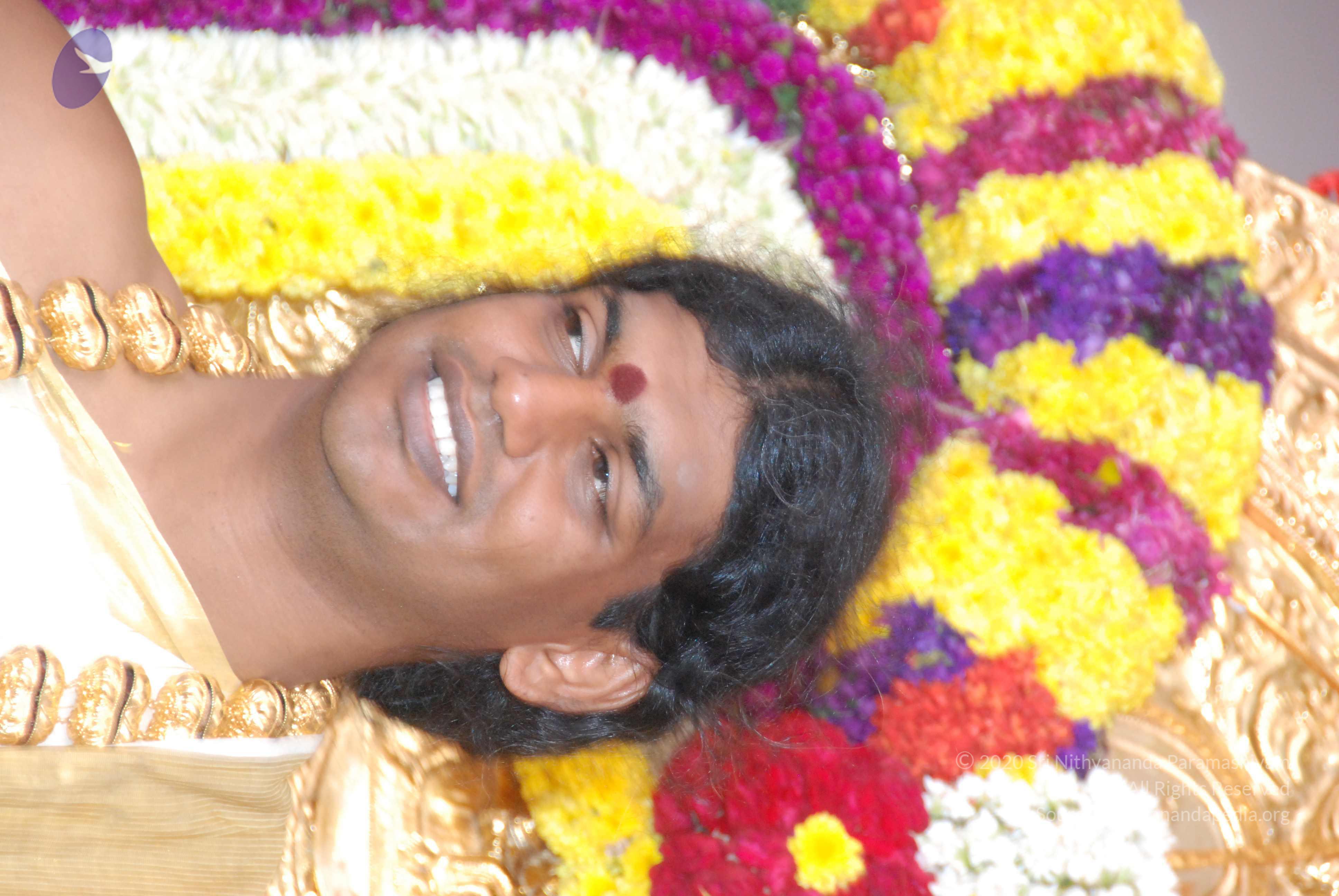 20100101_Photo_1351_DSC_2335_CMP_WM