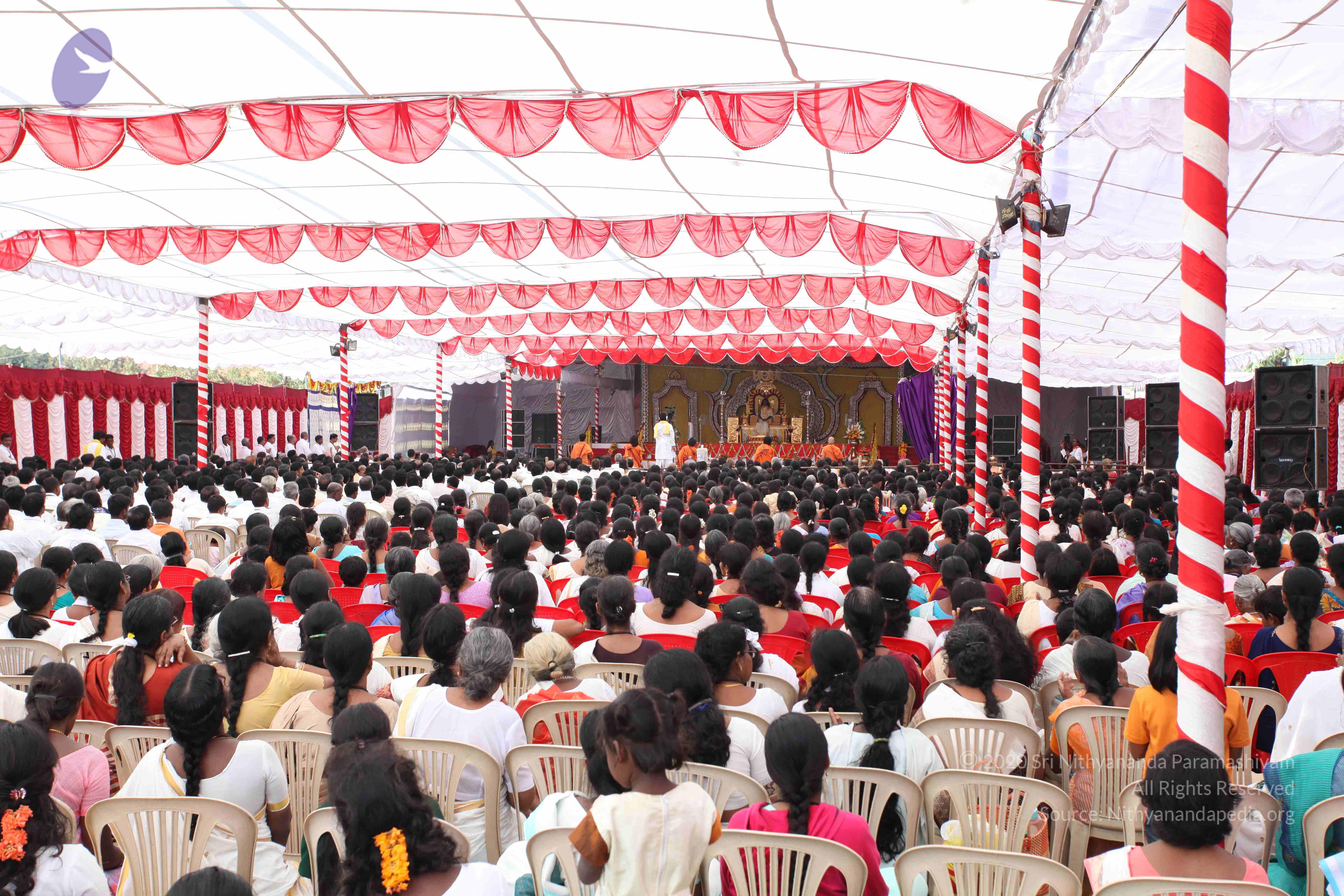 20100101_Photo_1352_IMG_4842_CMP_WM