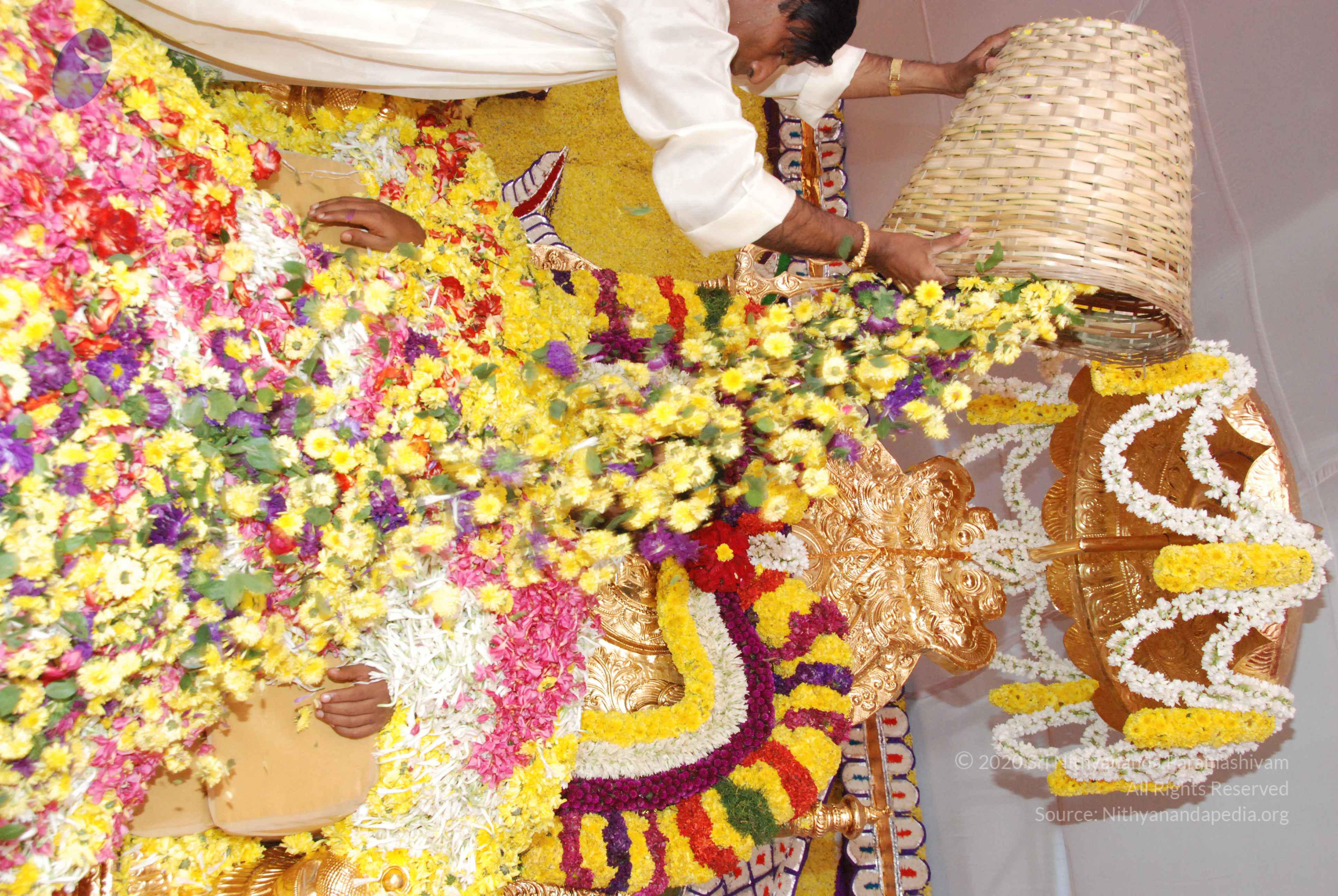 20100101_Photo_1354_DSC_2180_CMP_WM