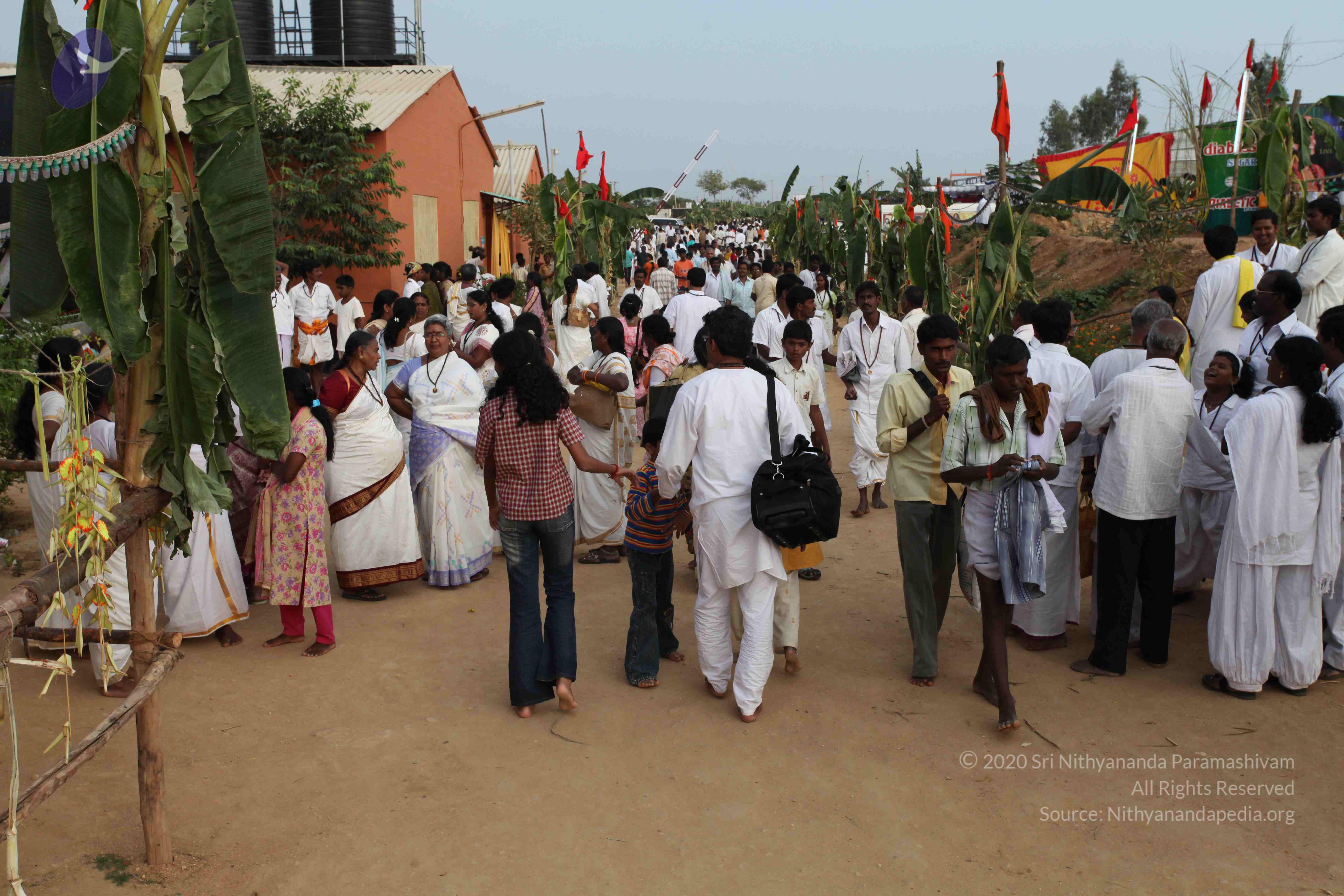 20100101_Photo_1357_IMG_5213_CMP_WM