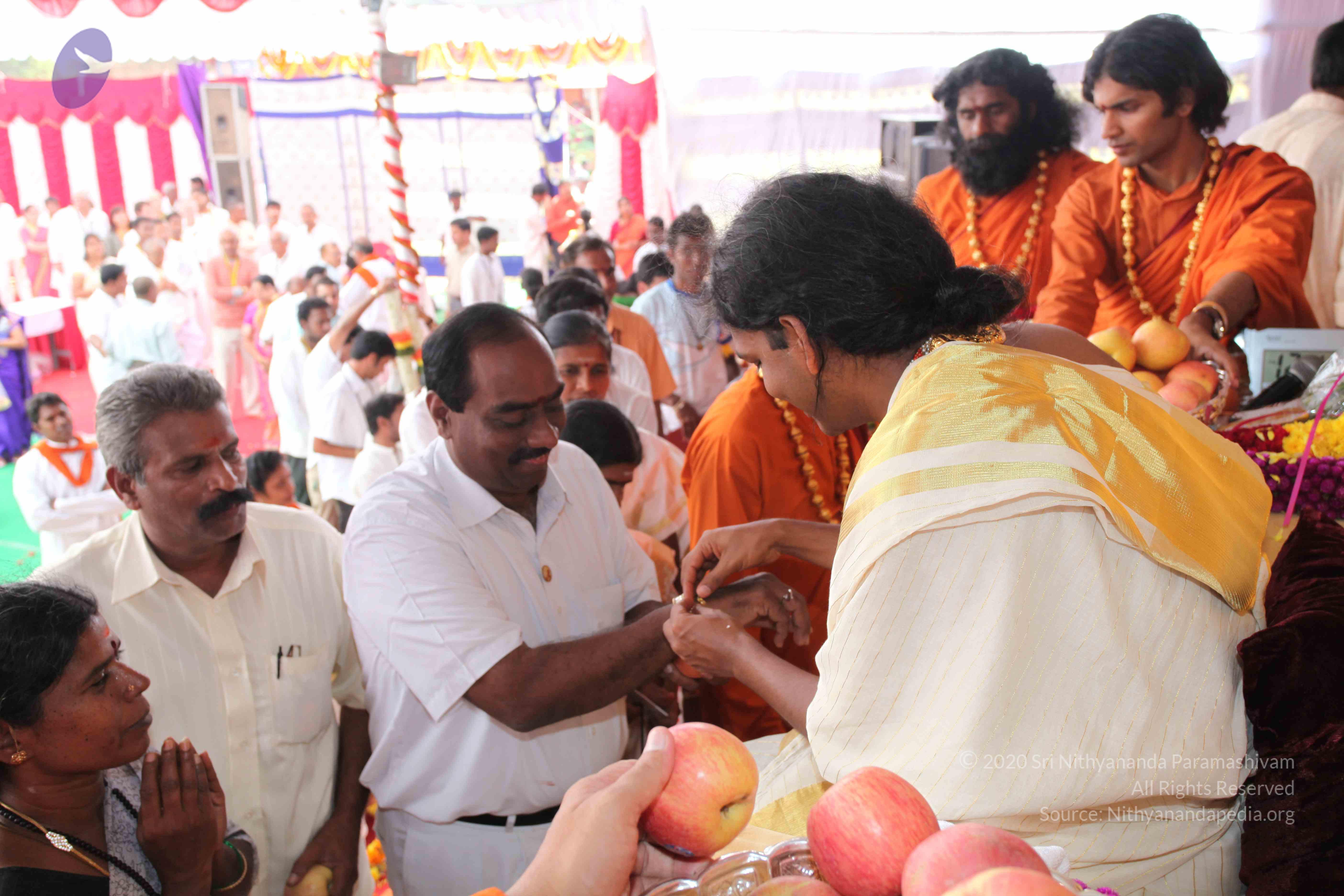 20100101_Photo_1358_IMG_5118_CMP_WM