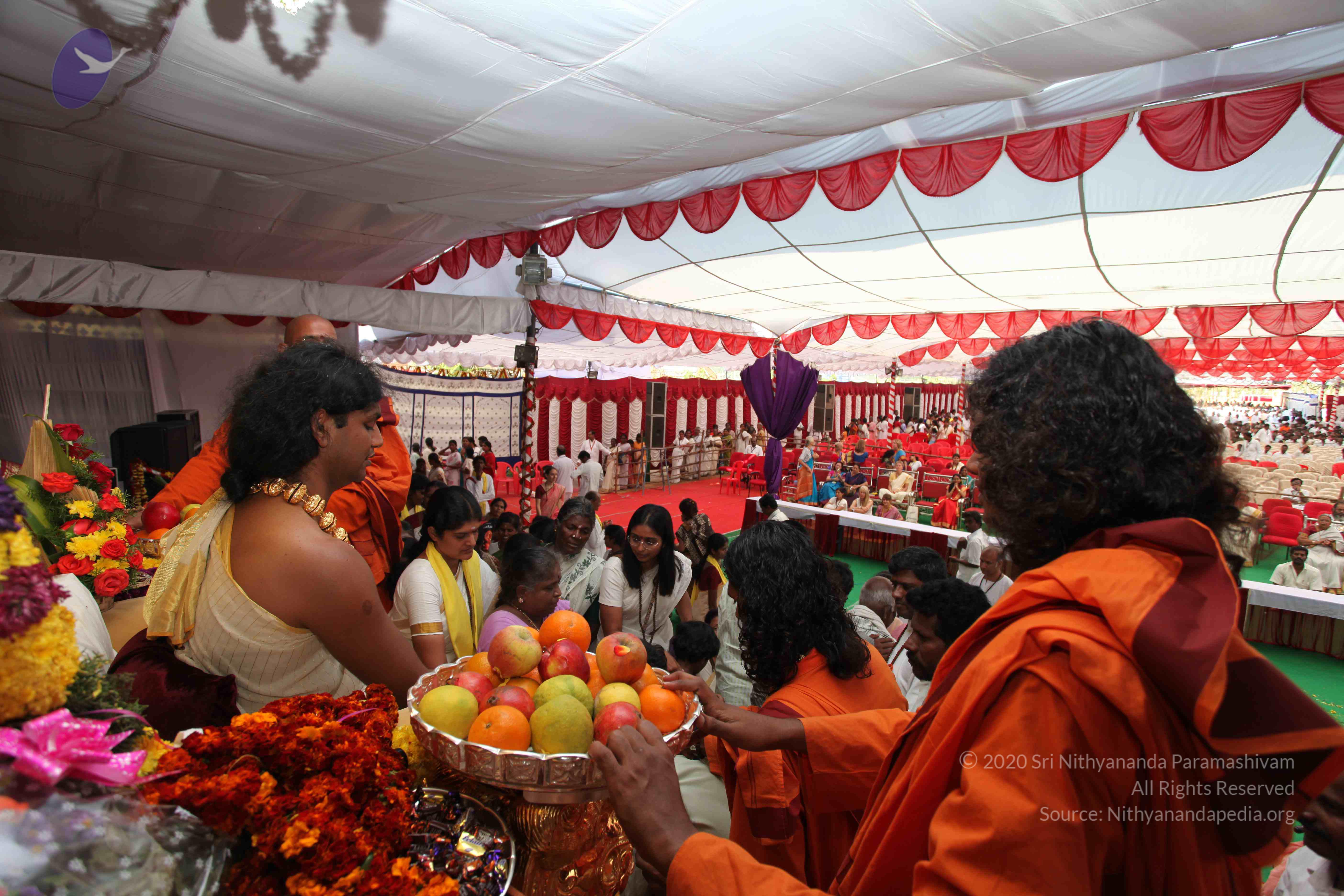 20100101_Photo_1361_IMG_5199_CMP_WM