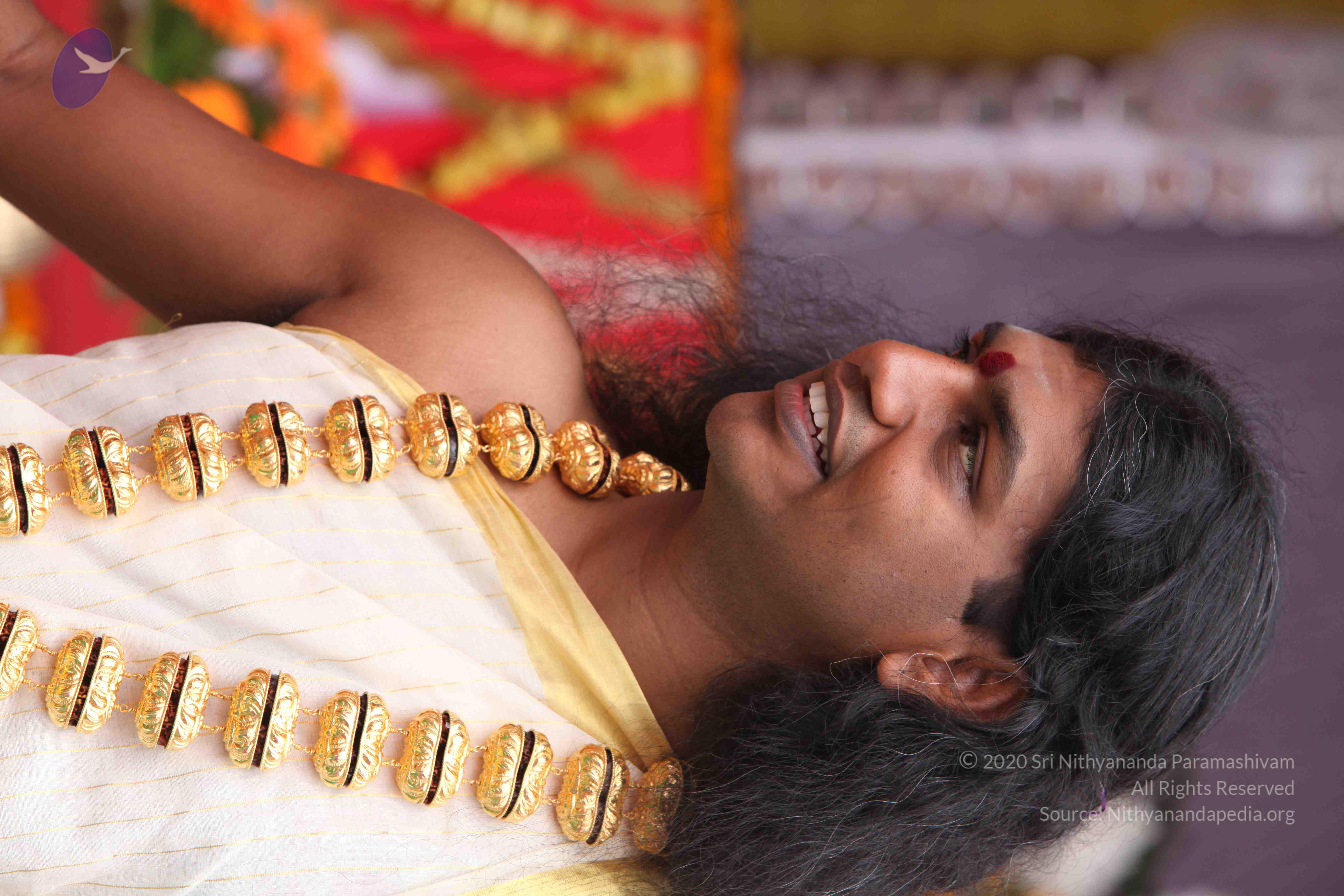 20100101_Photo_1363_IMG_4771_CMP_WM