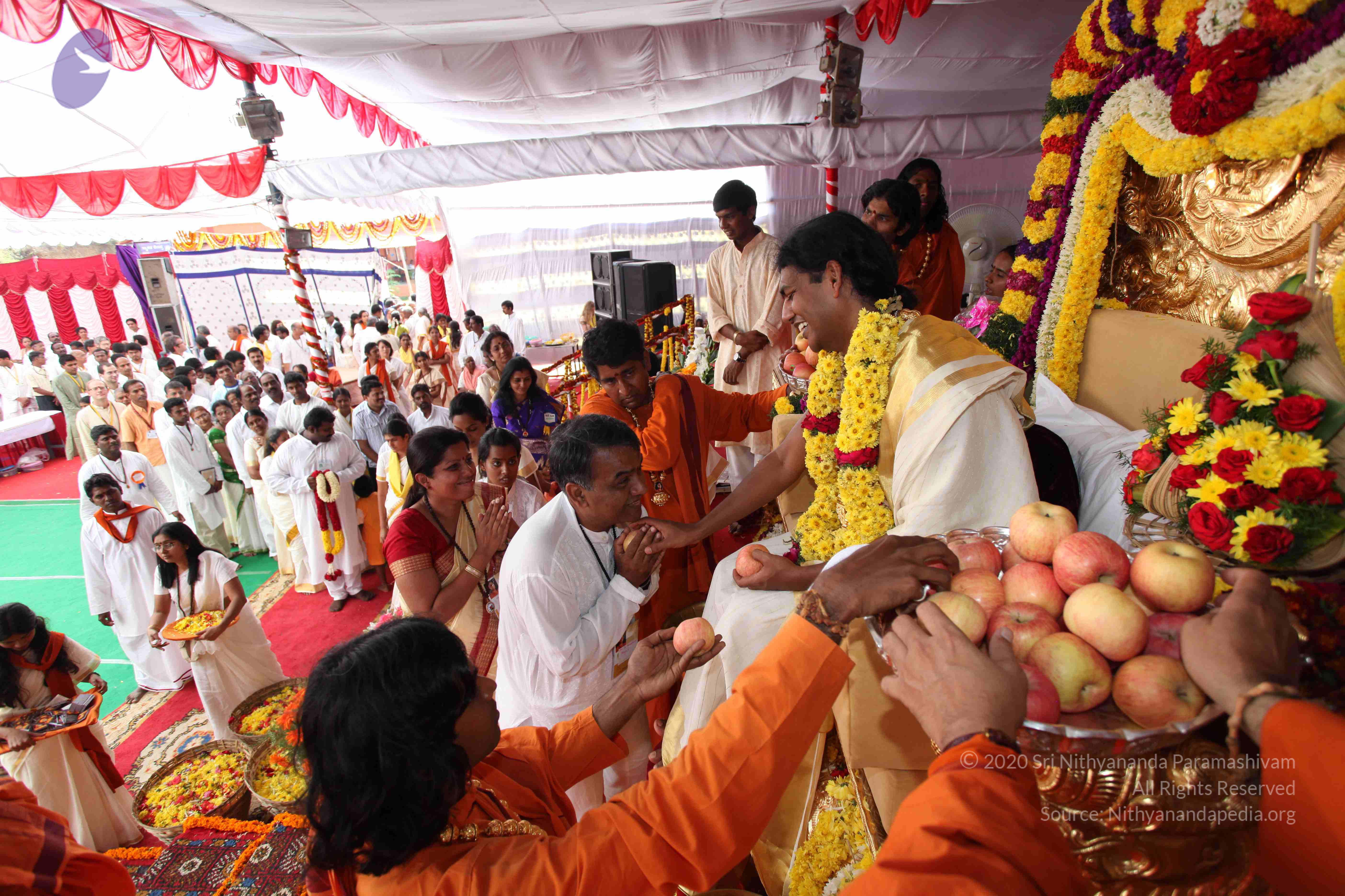 20100101_Photo_1373_IMG_5104_CMP_WM