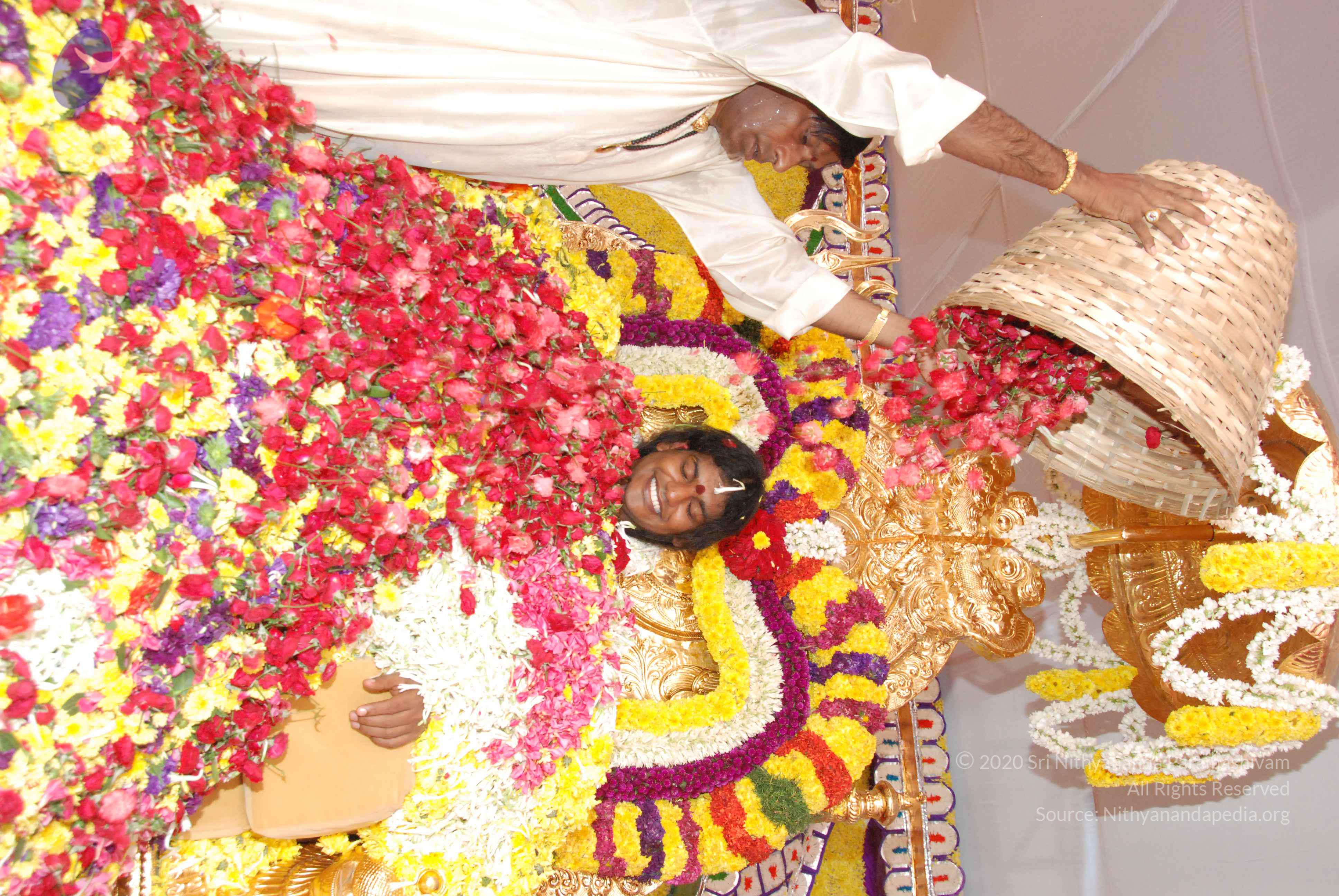 20100101_Photo_1377_DSC_2185_CMP_WM