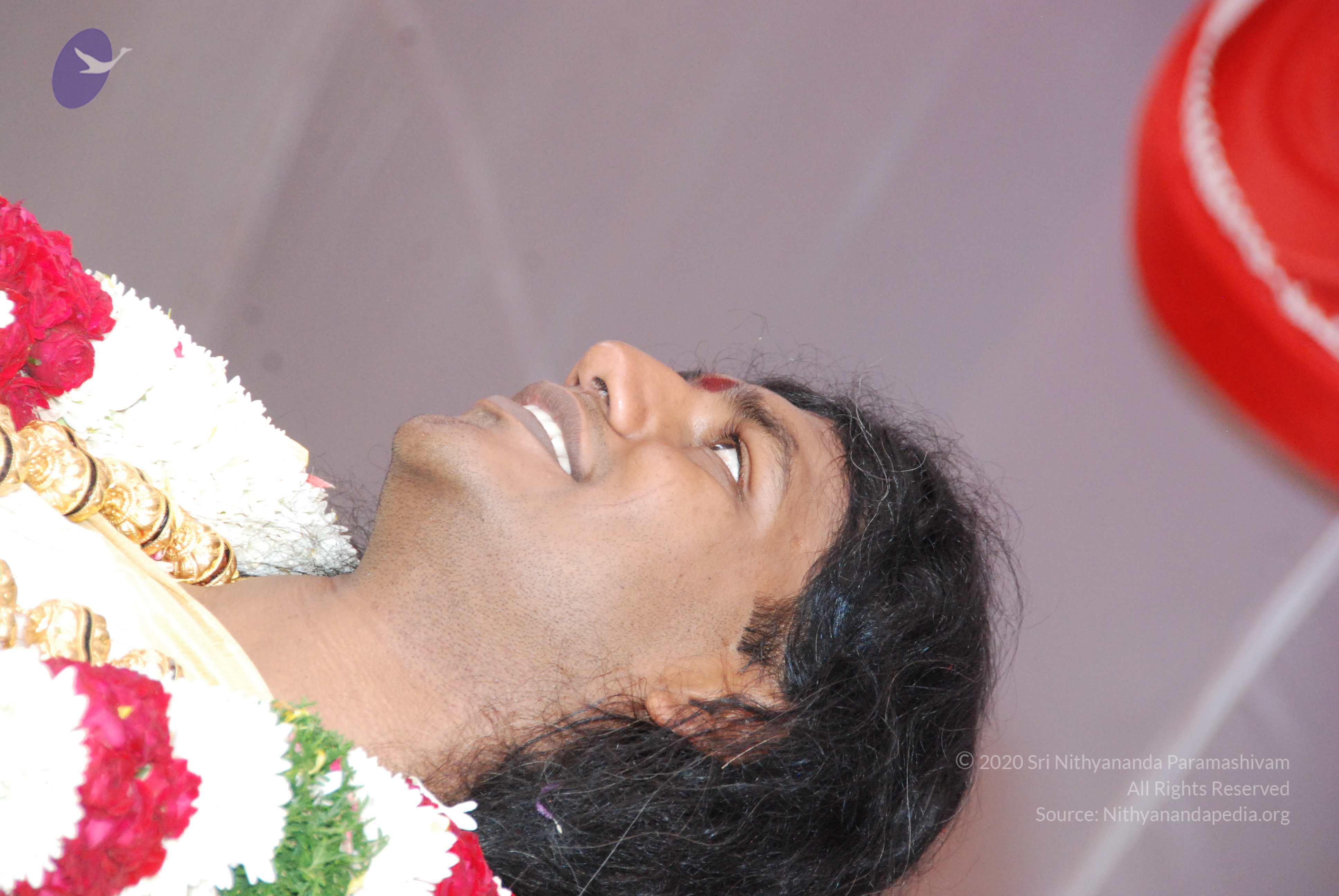 20100101_Photo_1385_DSC_2224_CMP_WM