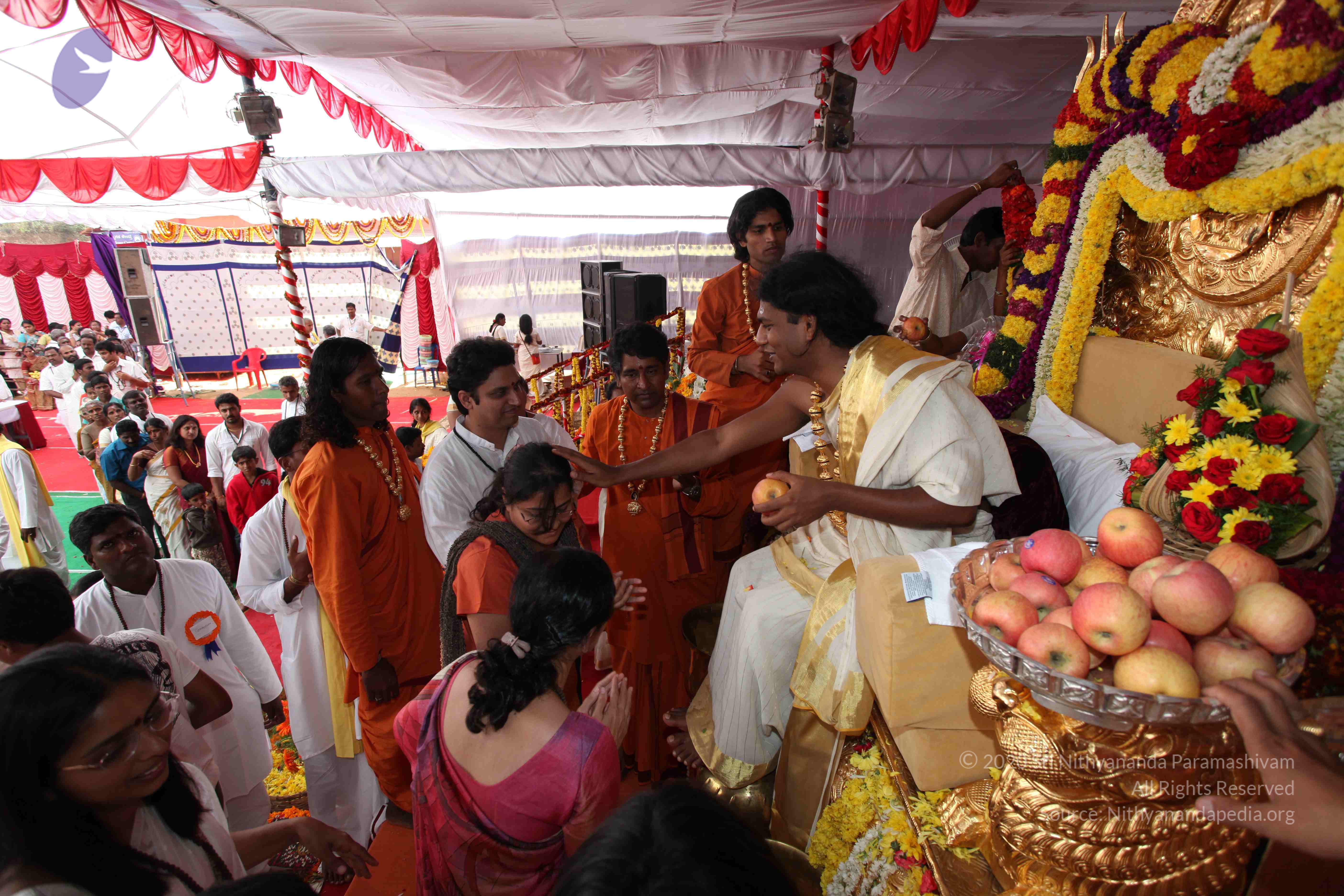 20100101_Photo_1389_IMG_5163_CMP_WM