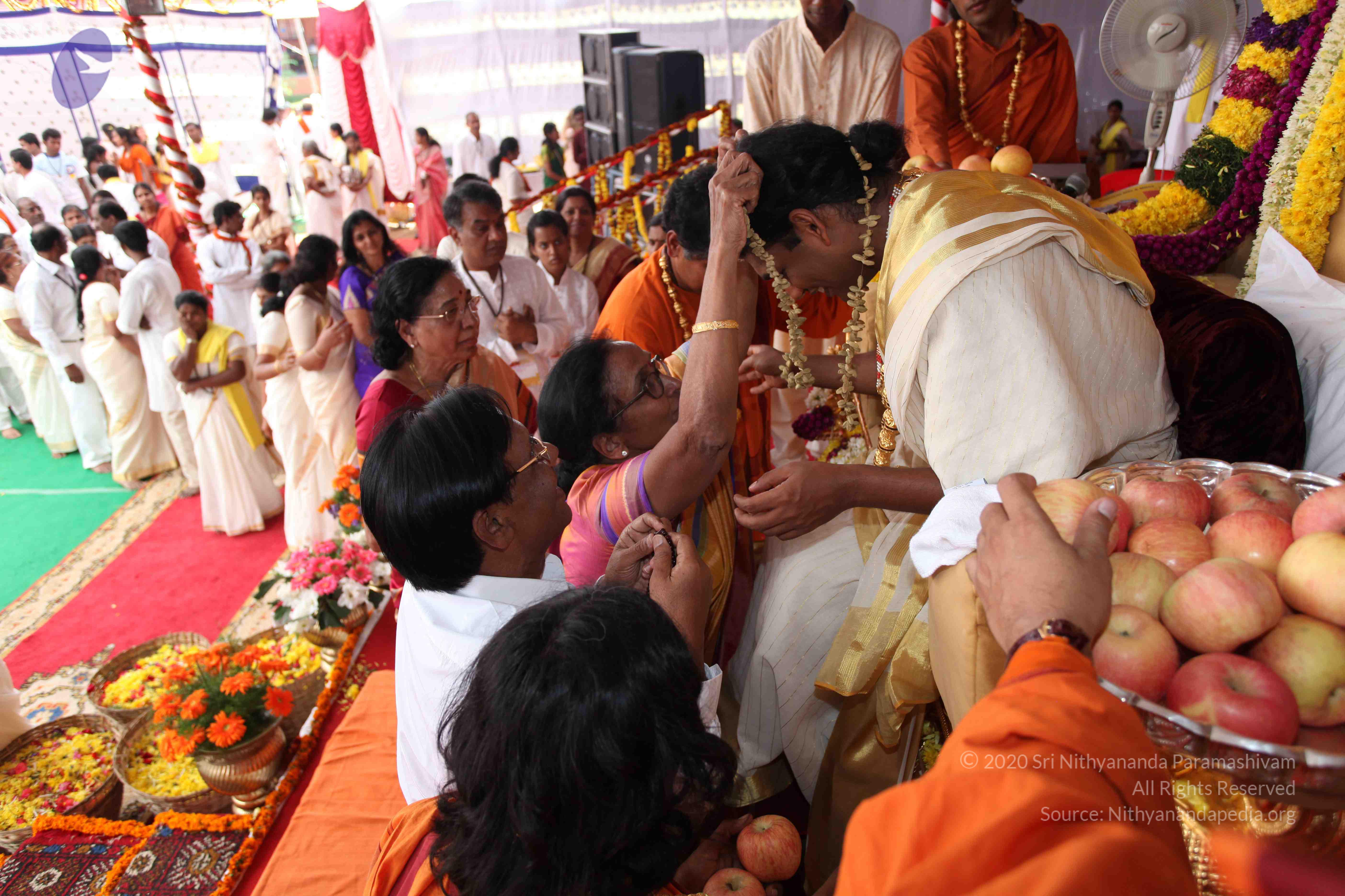 20100101_Photo_1394_IMG_5101_CMP_WM