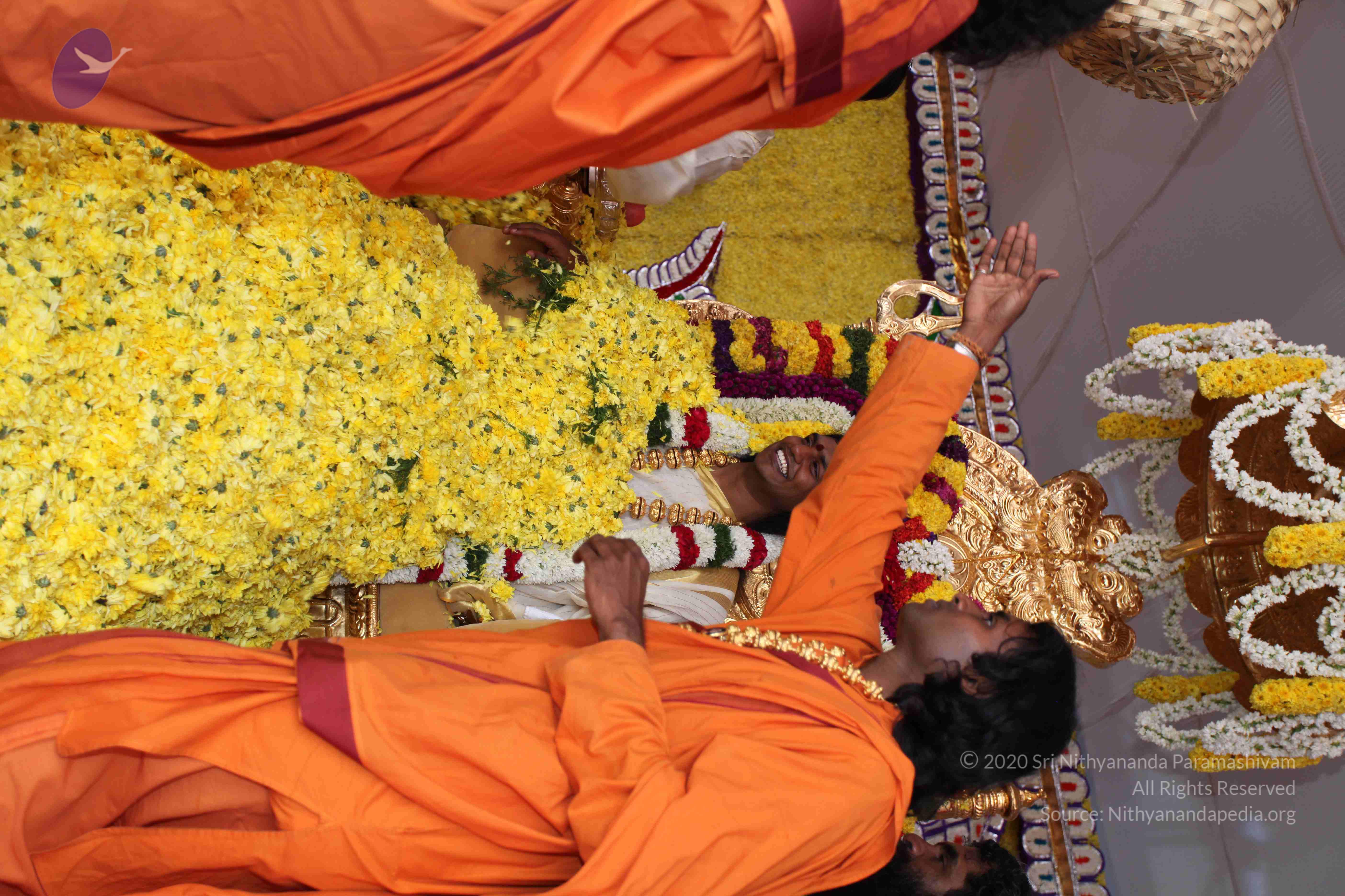 20100101_Photo_1409_IMG_4996_CMP_WM