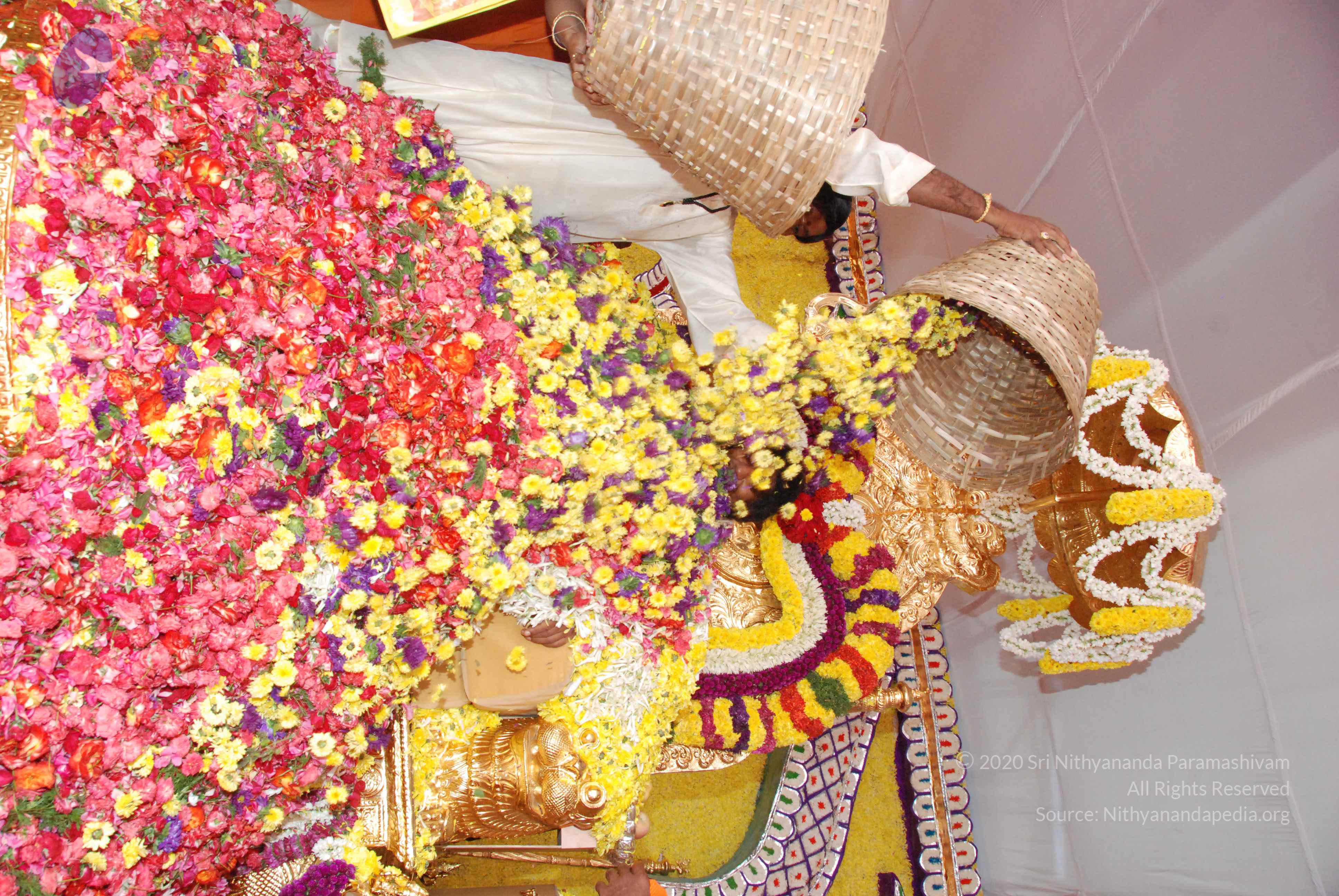 20100101_Photo_1427_DSC_2194_CMP_WM