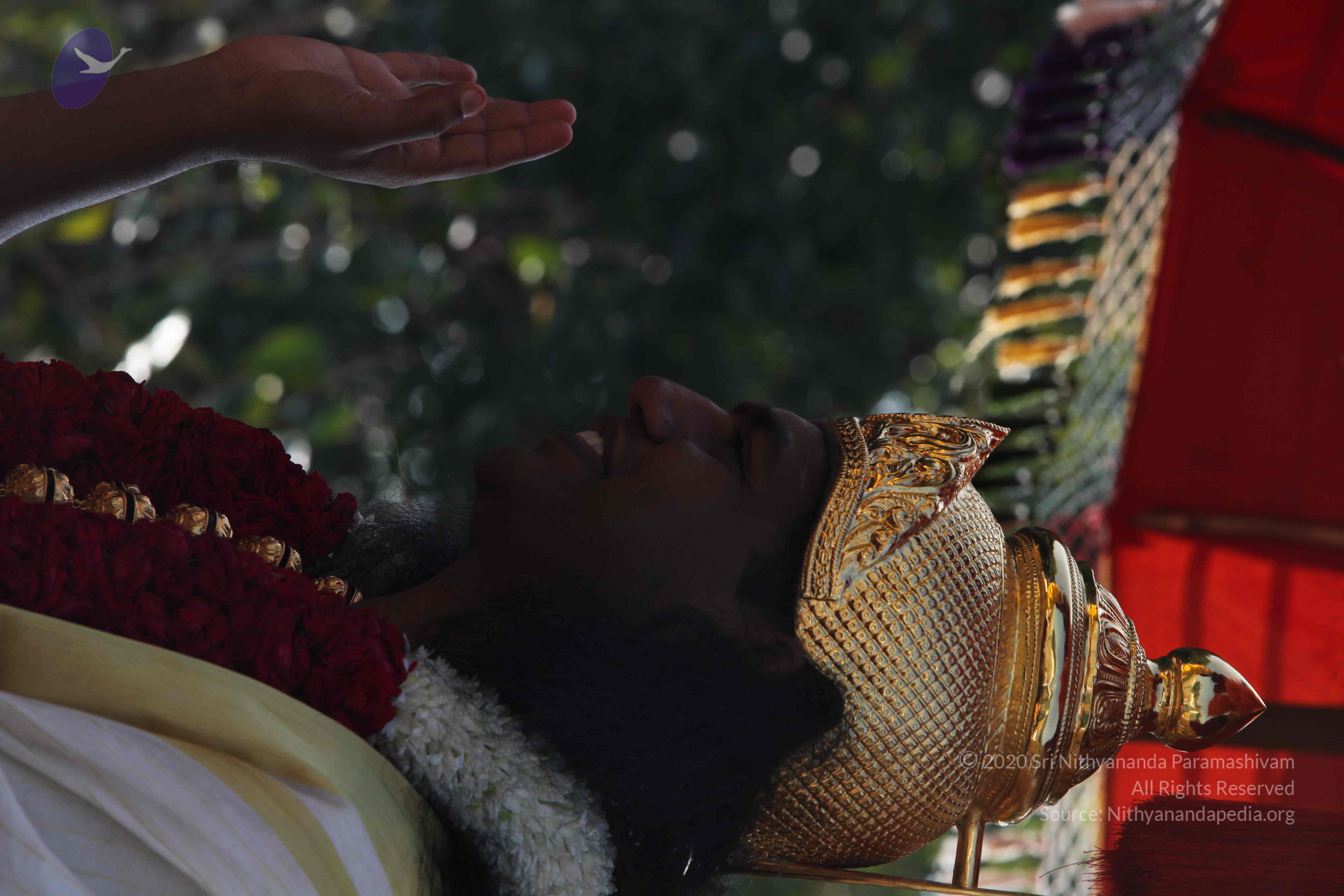 20100101_Photo_1006_IMG_4654_CMP_WM