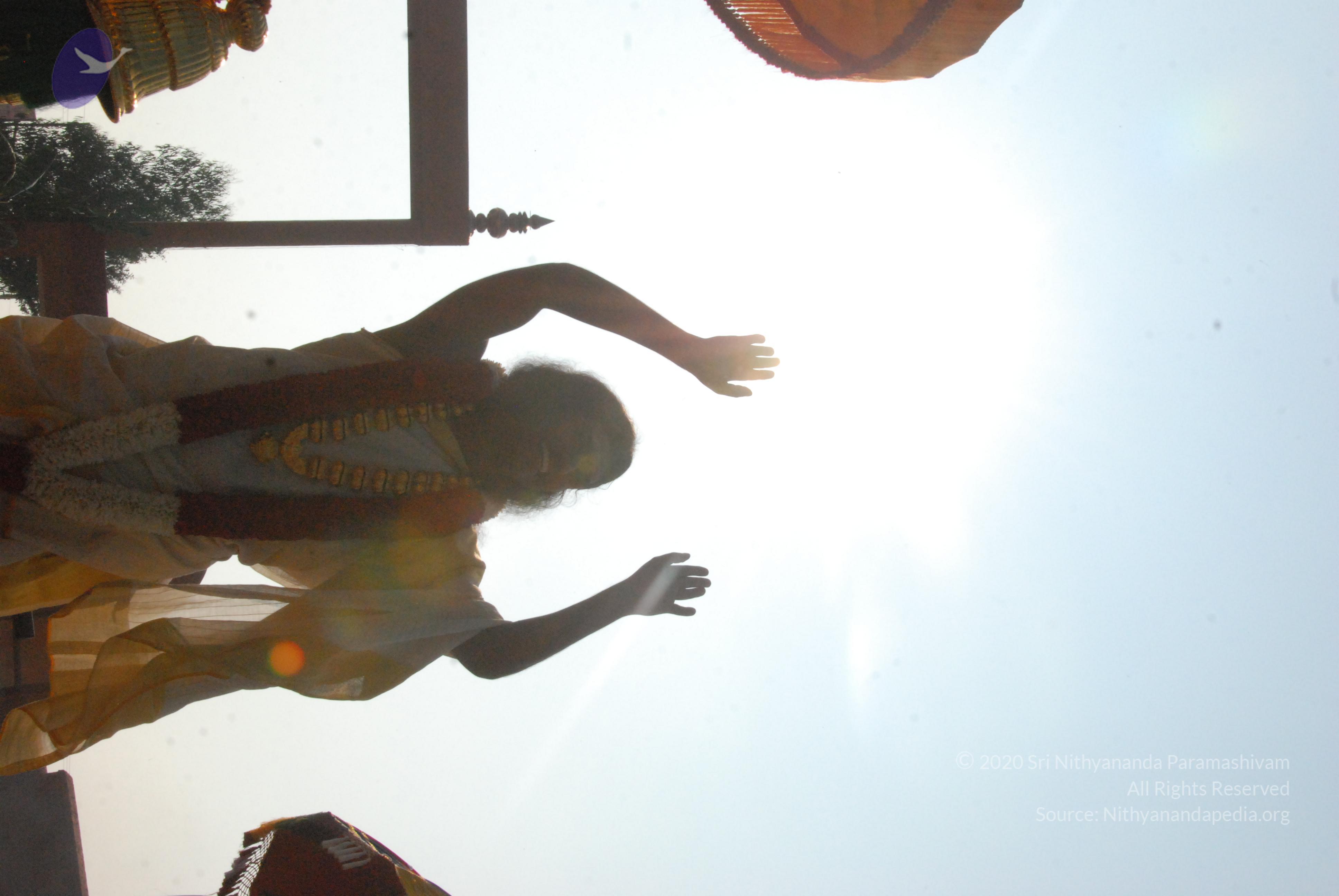 20100101_Photo_1013_DSC_1660_CMP_WM