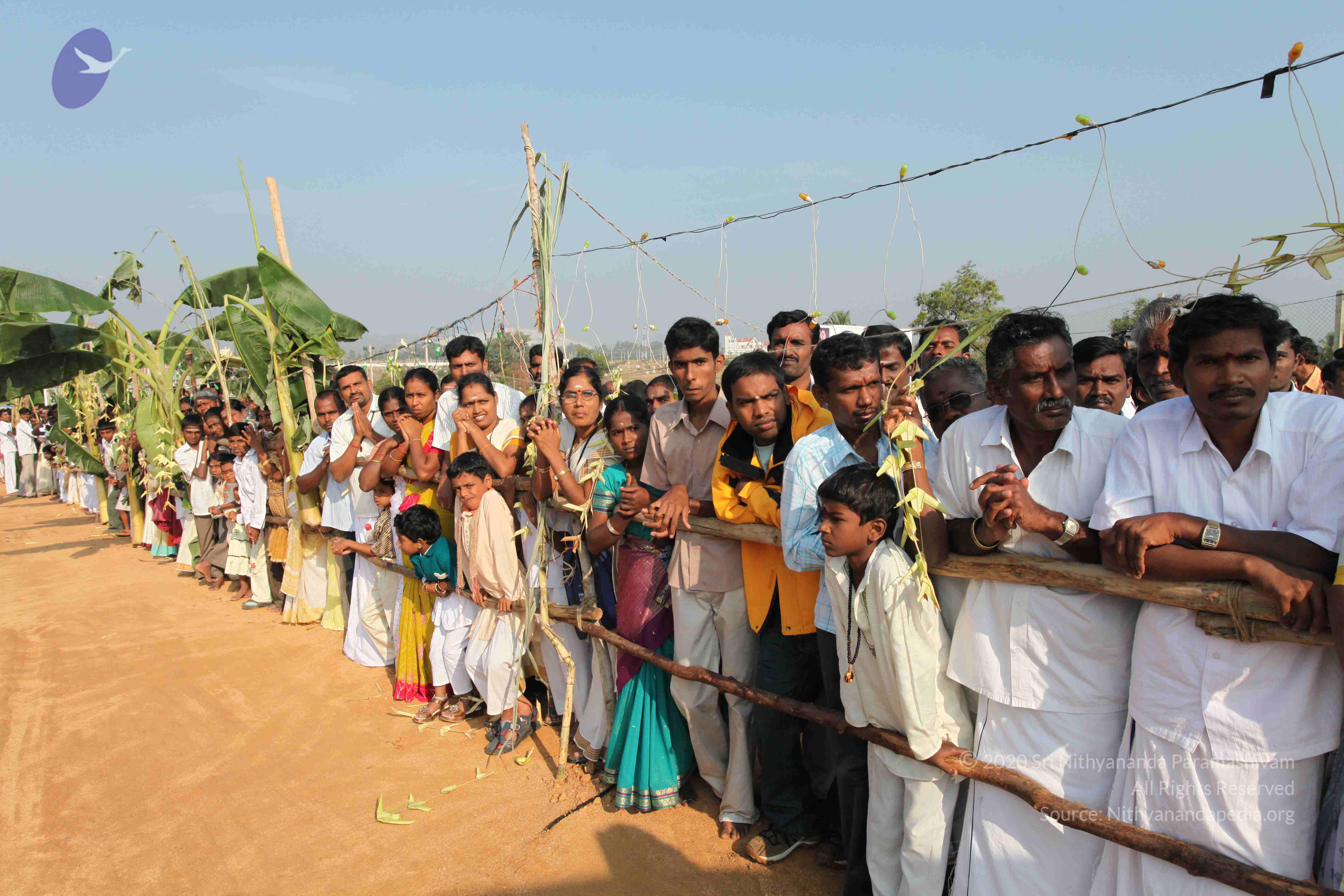 20100101_Photo_1026_IMG_4402_CMP_WM