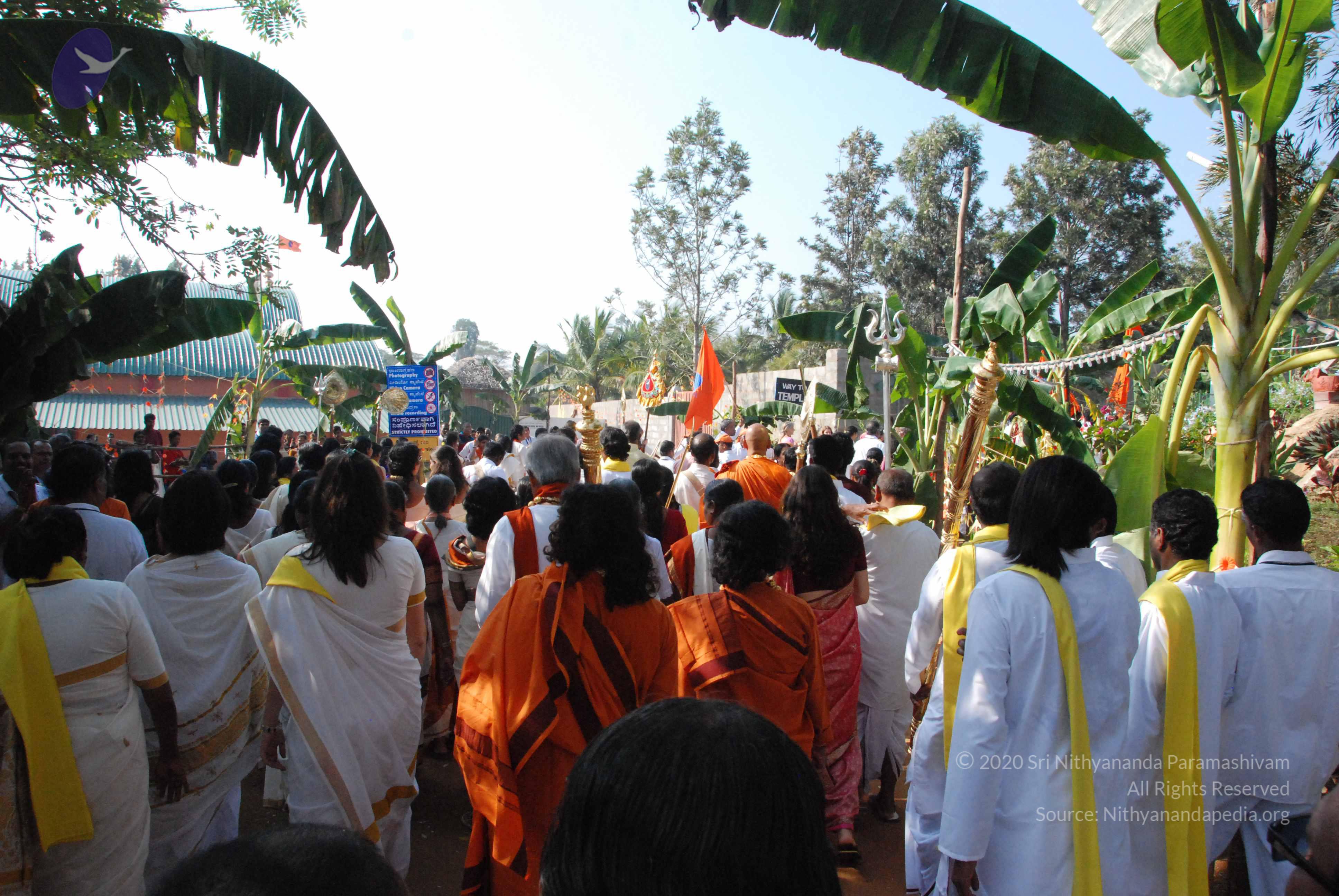 20100101_Photo_1047_DSC_1786_CMP_WM