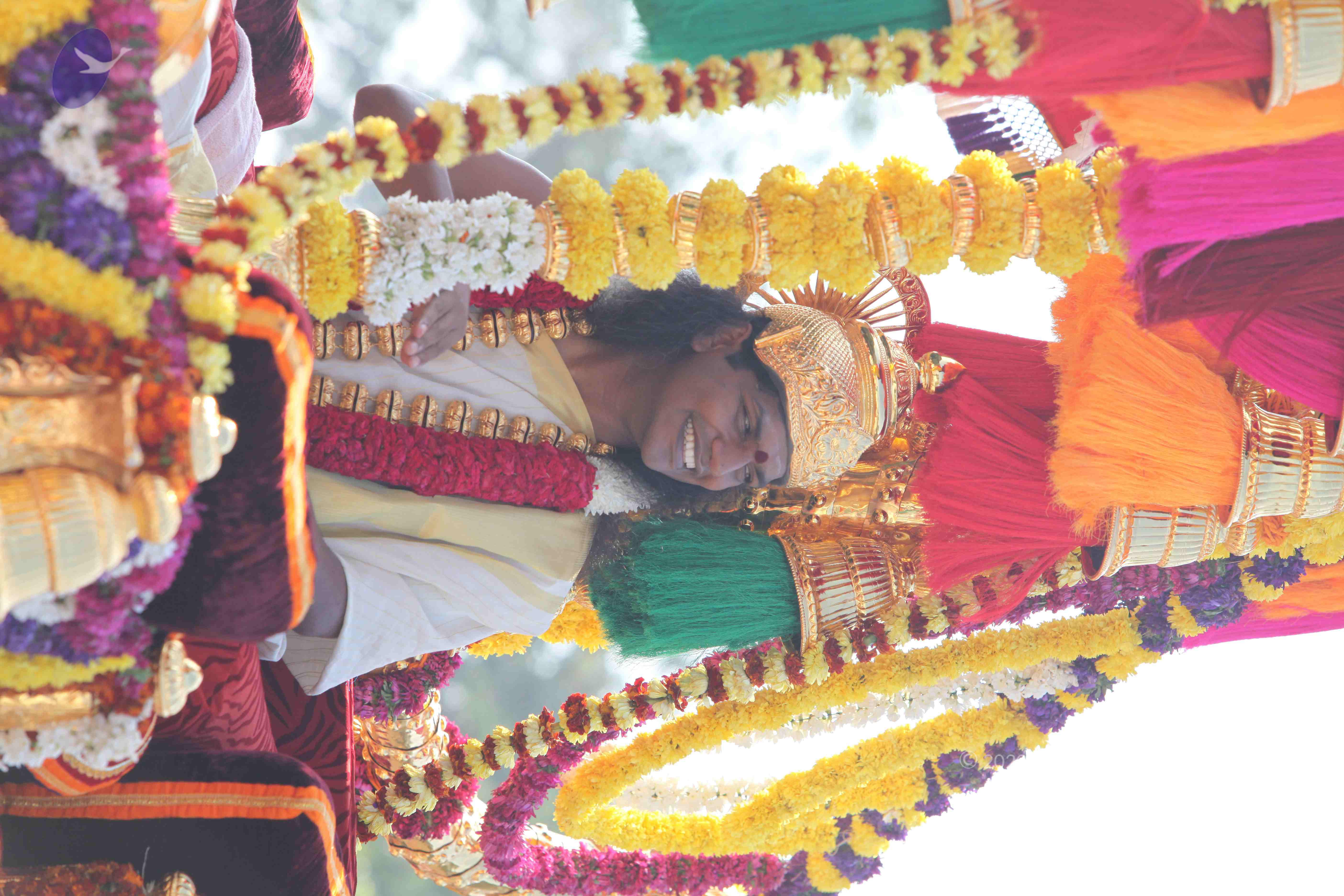 20100101_Photo_1060_IMG_4645_CMP_WM